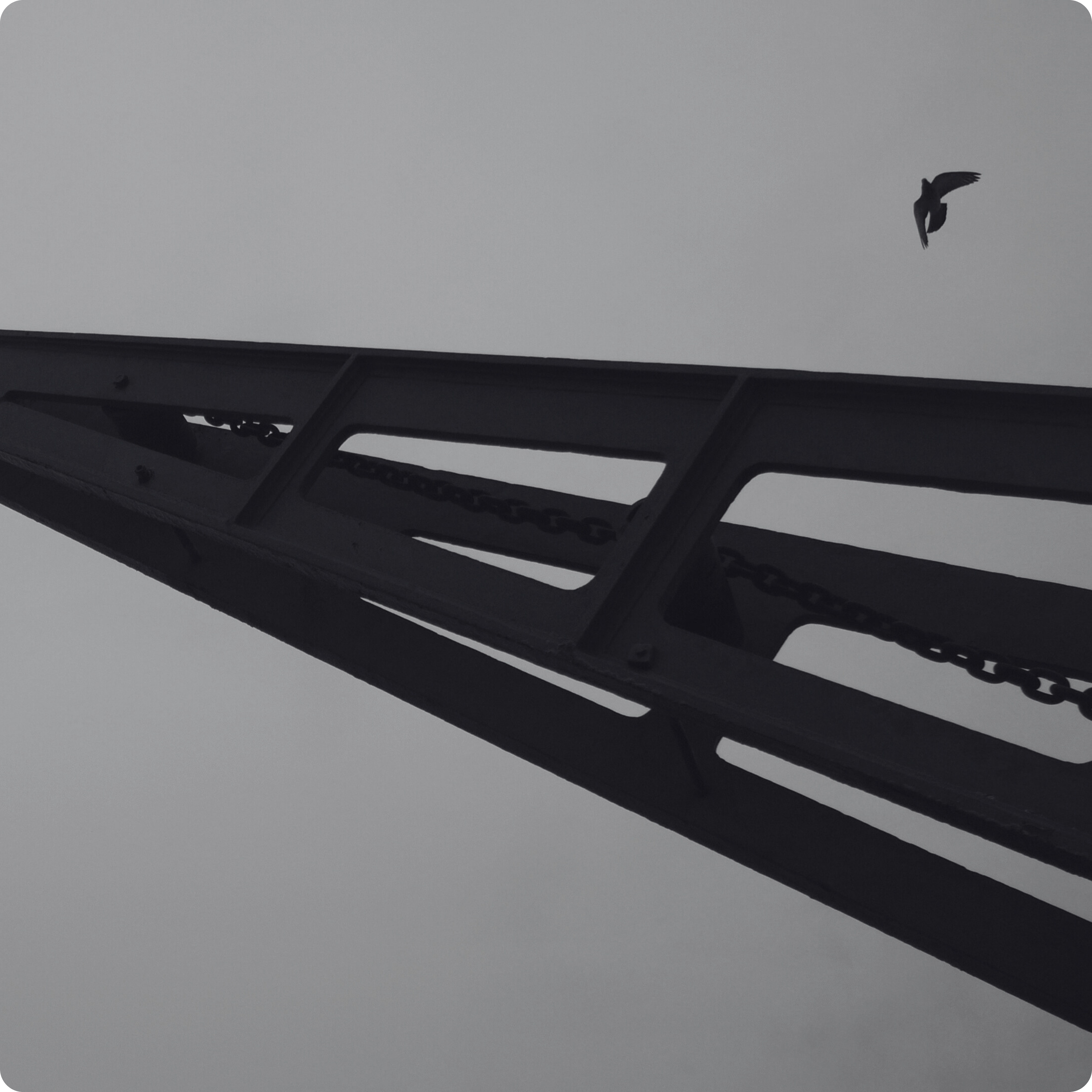 Daywalker 5