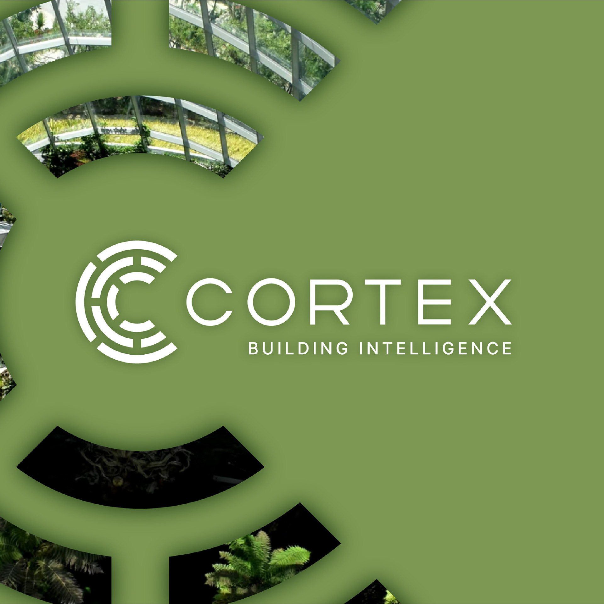 Cortex Building Intelligence Brand Identity Refresh