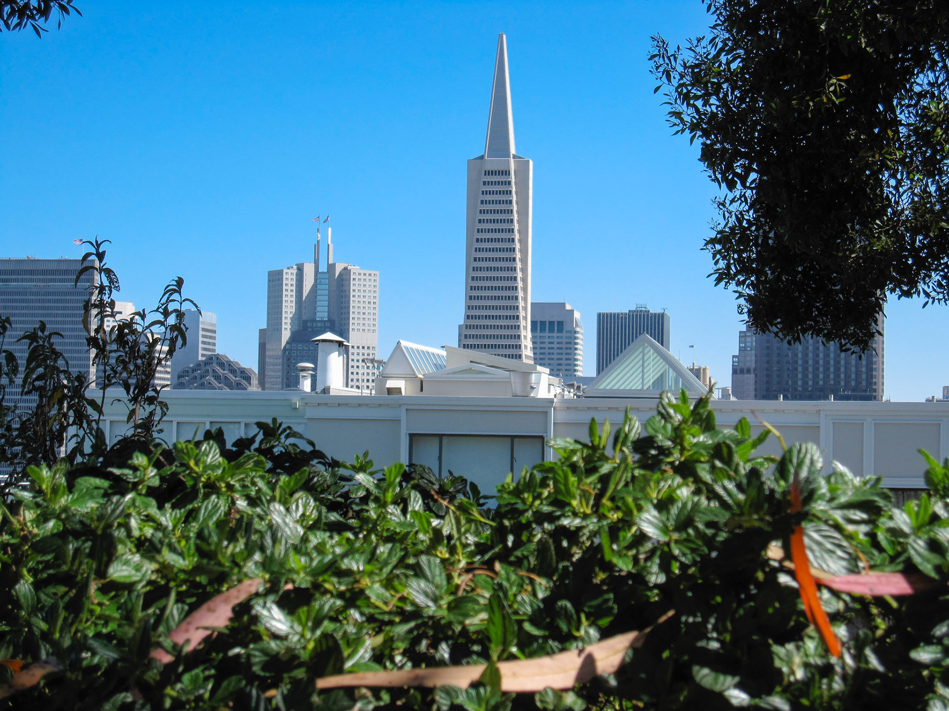 Day 1 - Coit Tower View of Trans American Bldg