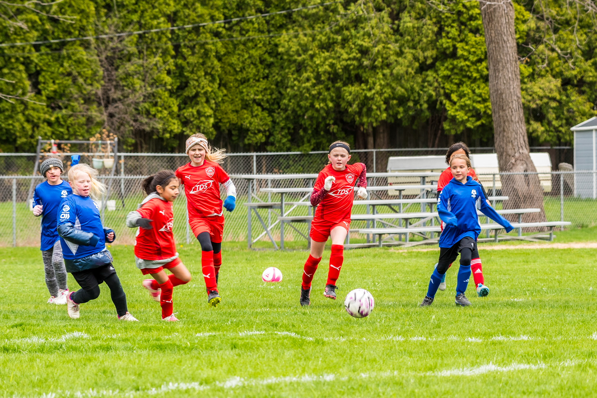 Sun Prairie Under 9 White vs. Lodi (7v7) - W4-0
