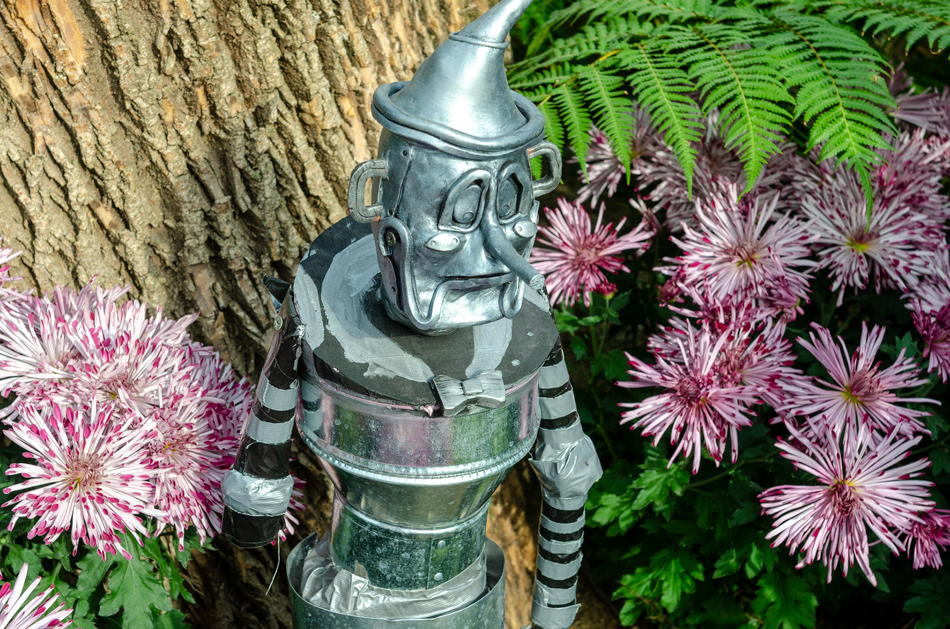 Tinman wildflowers