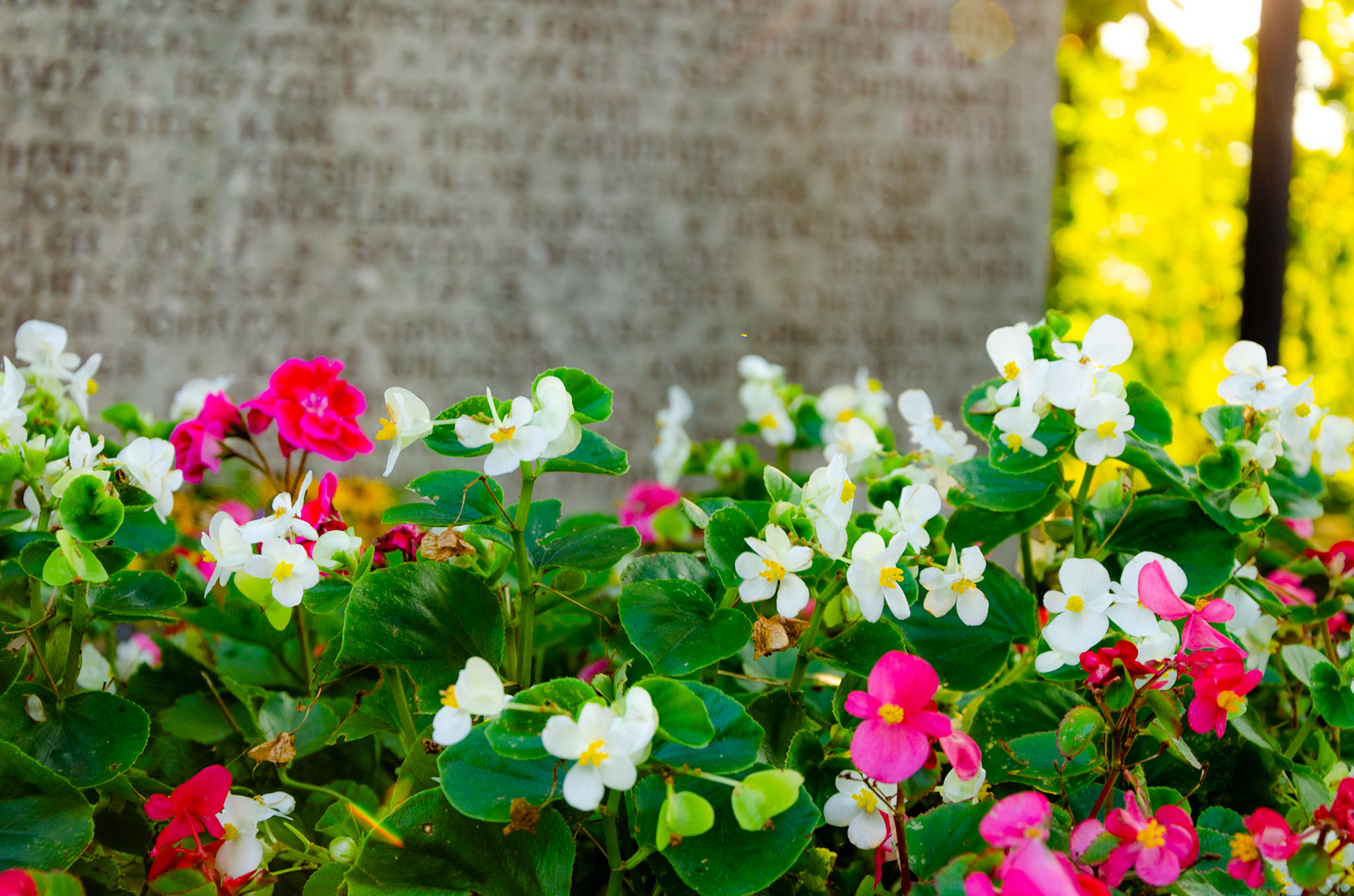 Cemetary flower garden