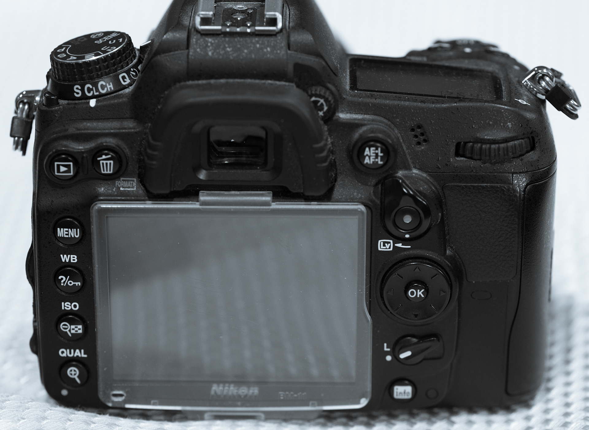 Nikon D7000