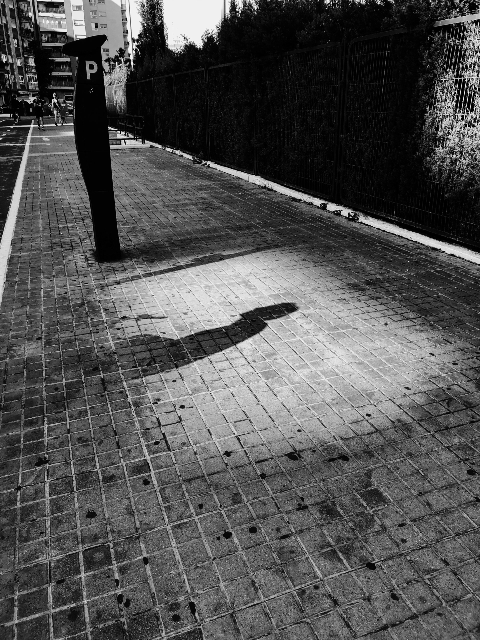 Ventanas de luz