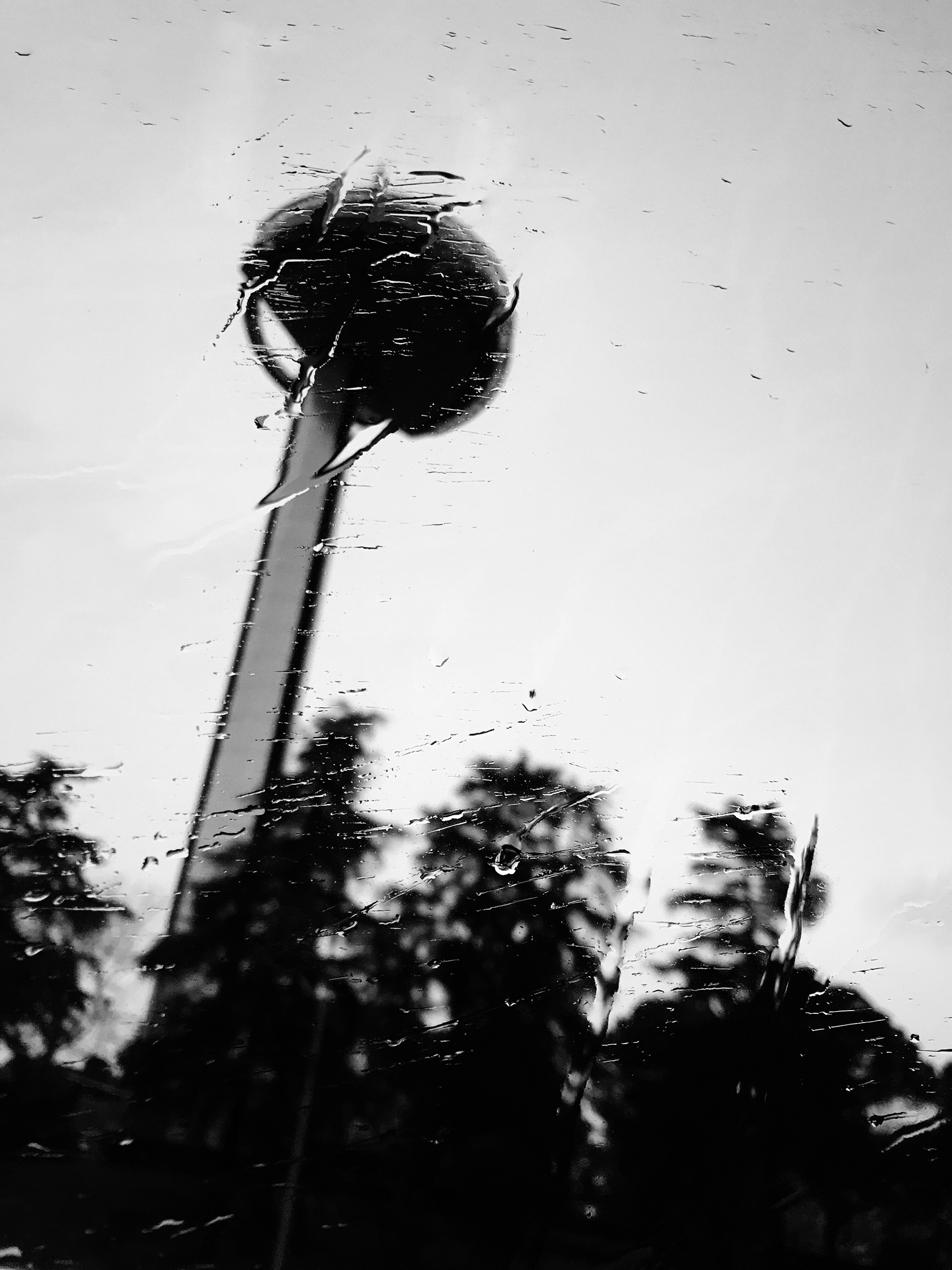 Regresando a Madrid para terminar la mudanza