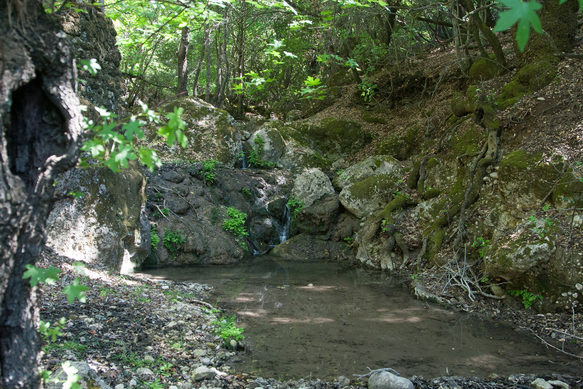 Valley of Butterflies, Rhodes