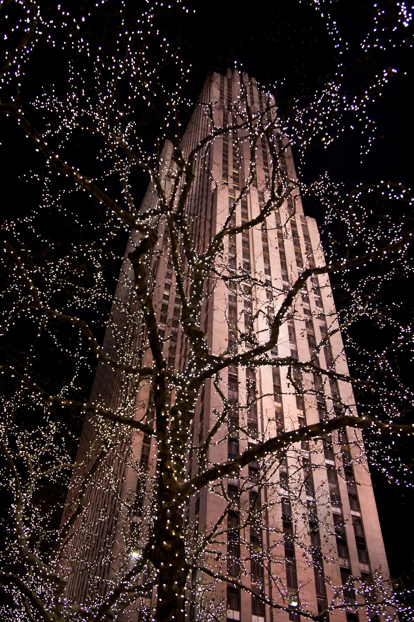 Xmas at Rockefeller, NYC