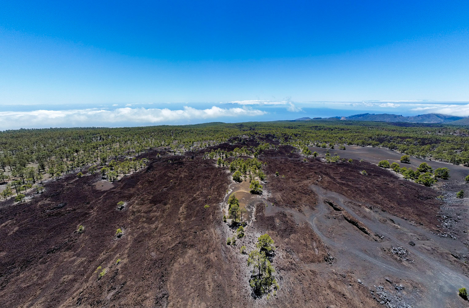 DCIM\PANORAMA\100_0793\DJI