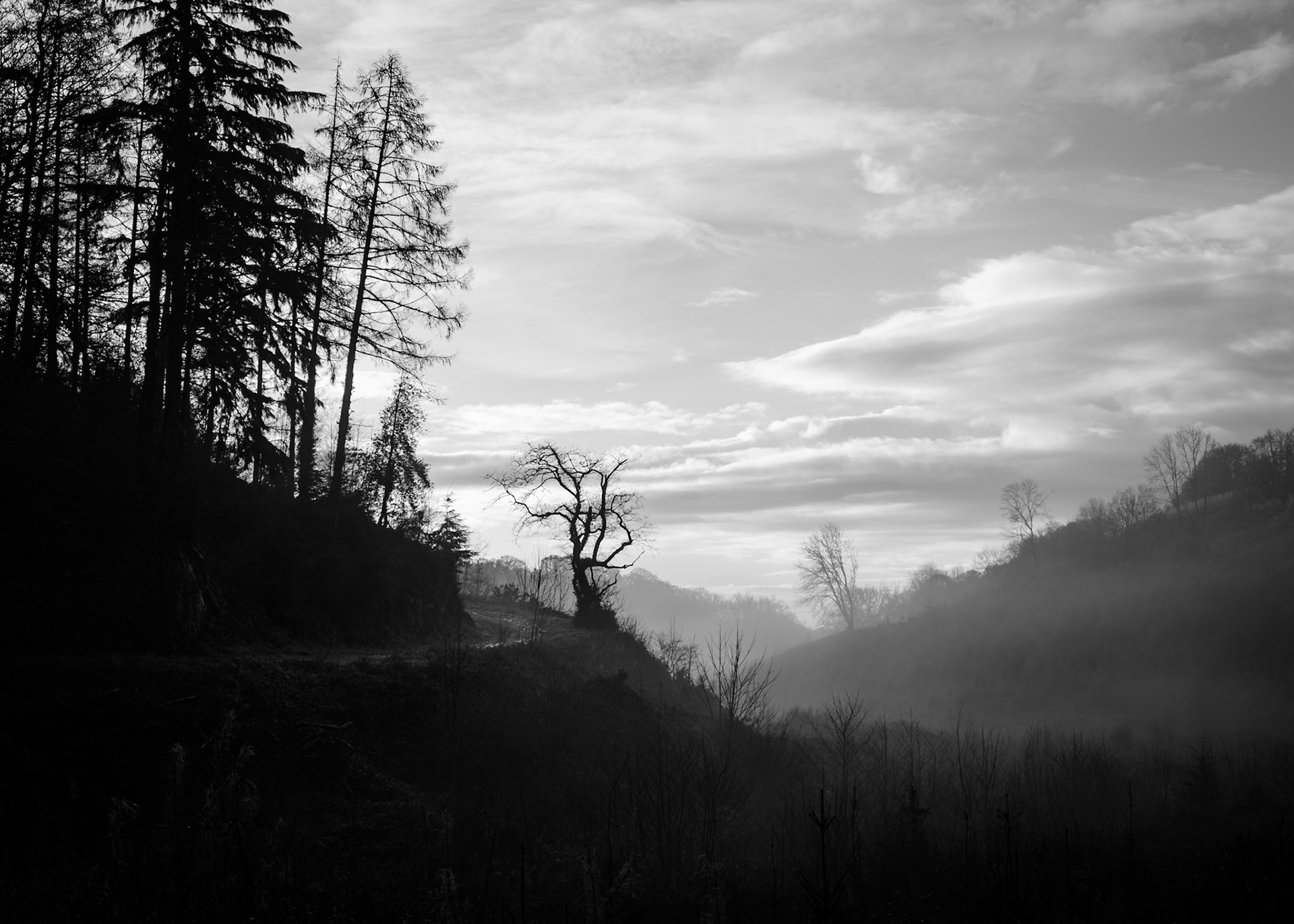 Misty morning at Brompton Ralph