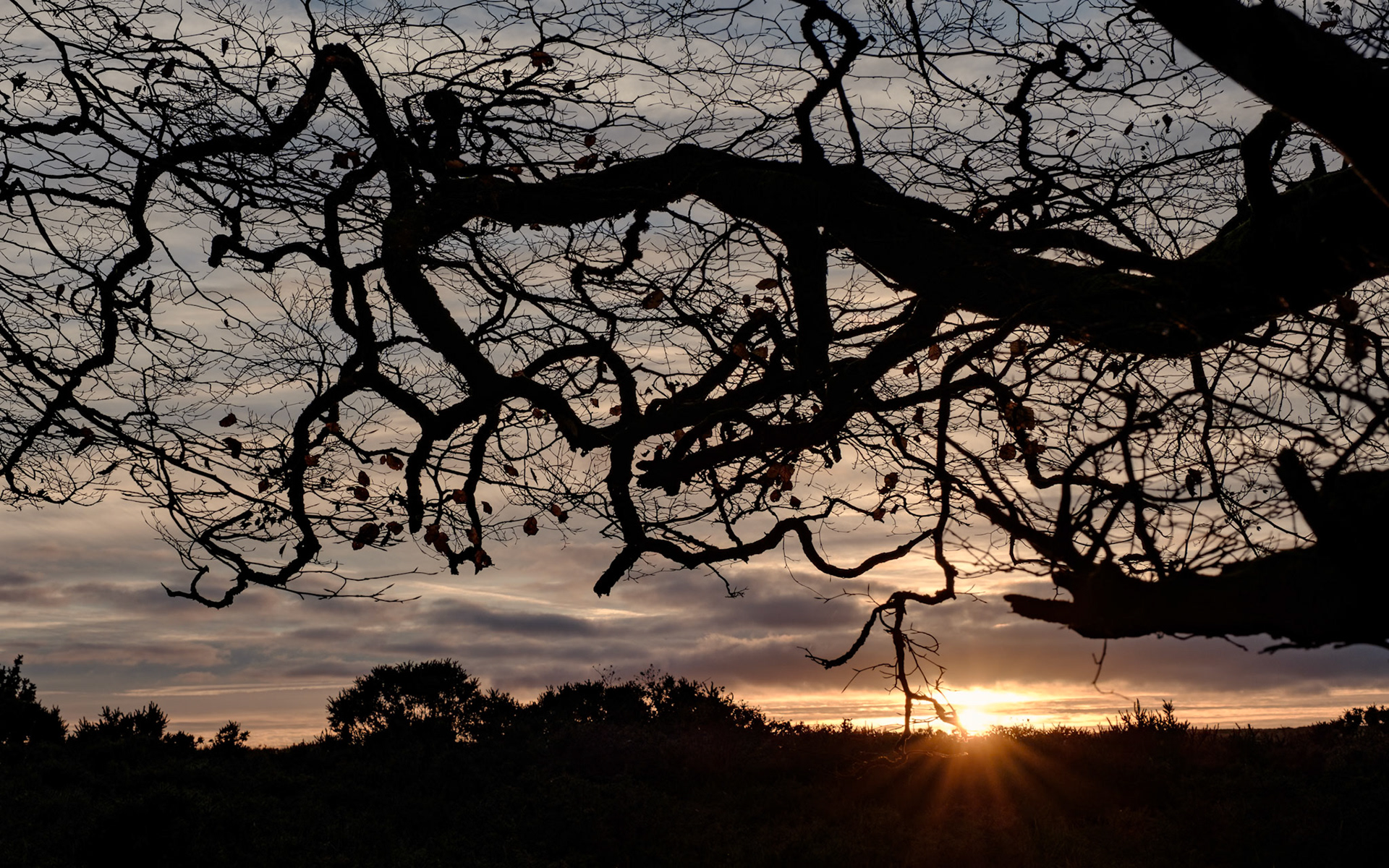 Above Crowombe at dusk