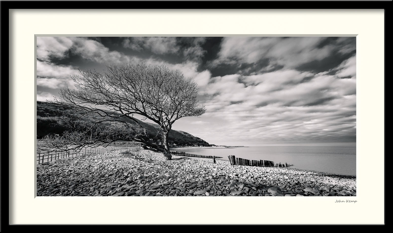 Porlock Weir tree