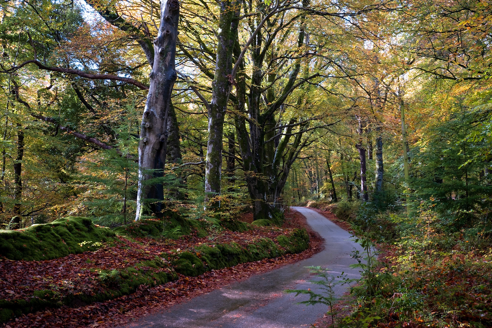 Towards Webbers Post