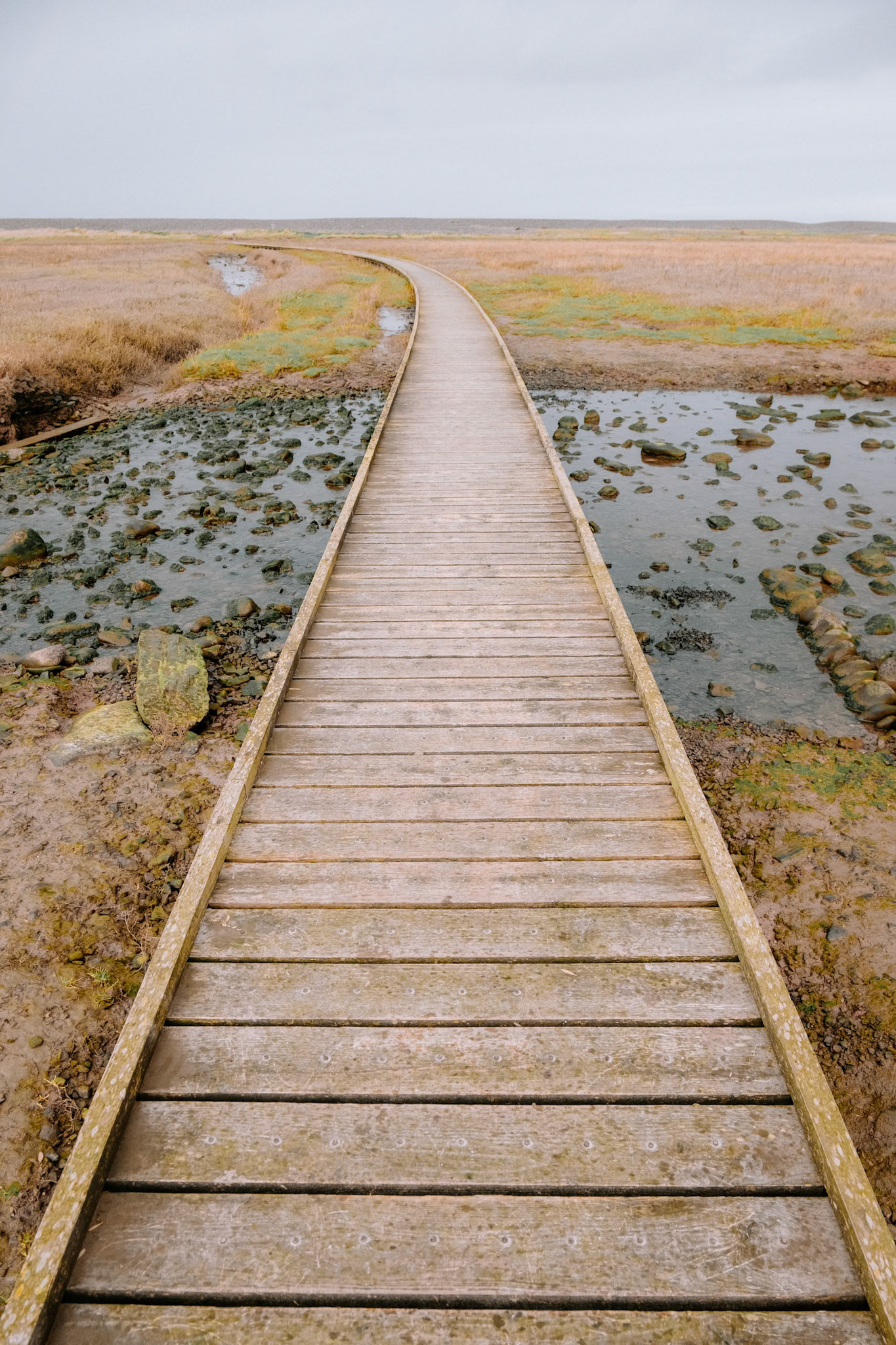 Porlock Bay boardwalk