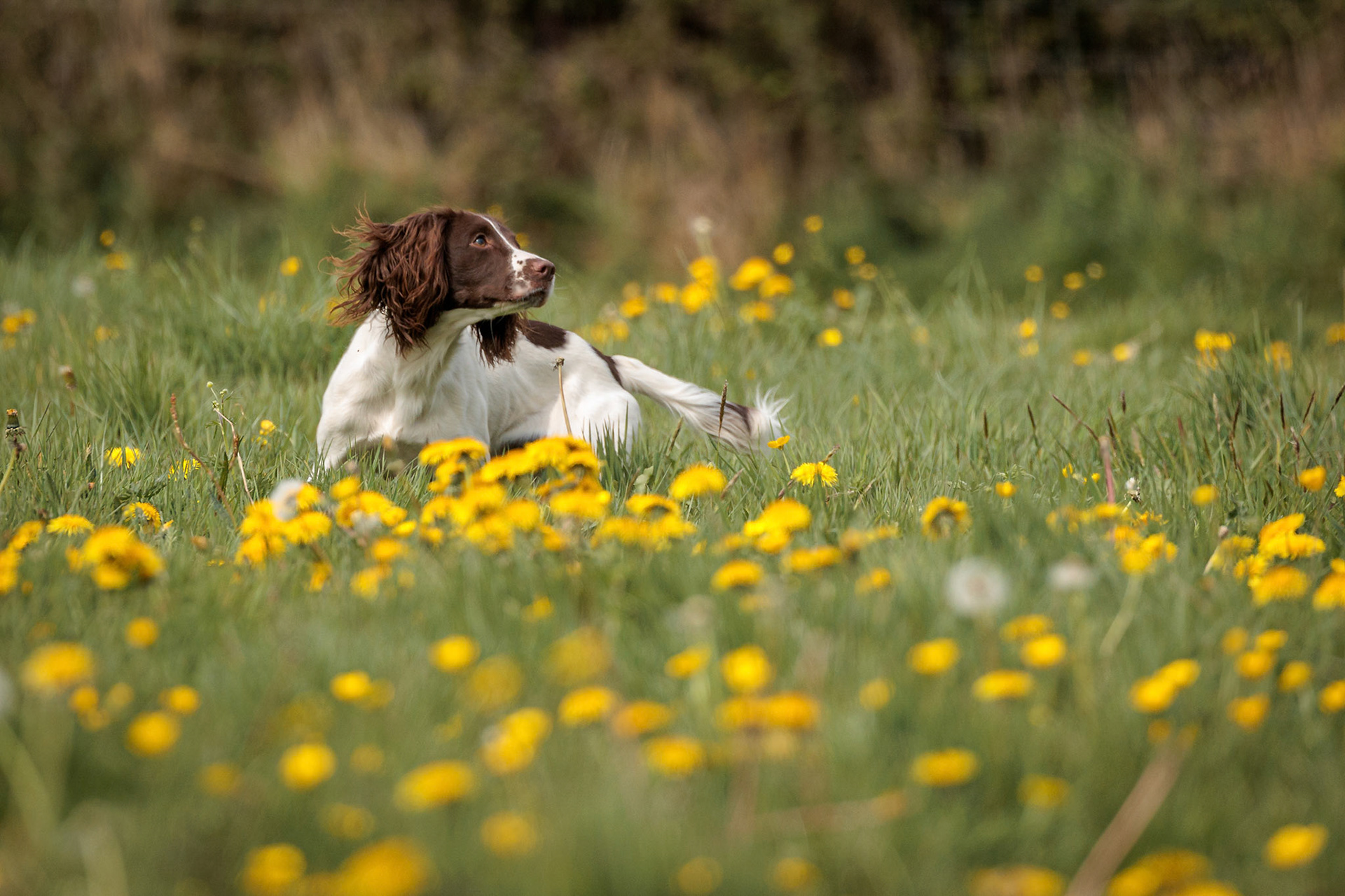 The Country Girls UK - 'Back to Basics' workshop at Paws @ Brooklyn