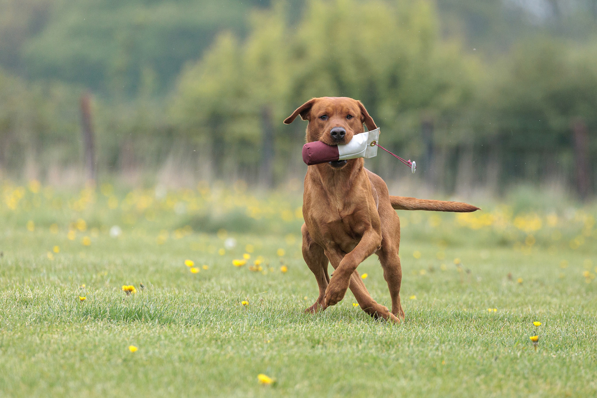 The Country Girls UK - 'Back to Basics' workshop at Paws @ Brooklyn