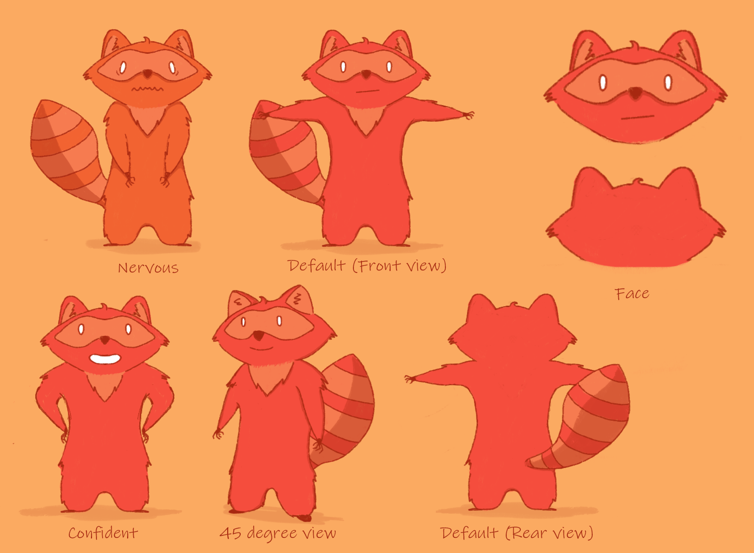 raccoon character design