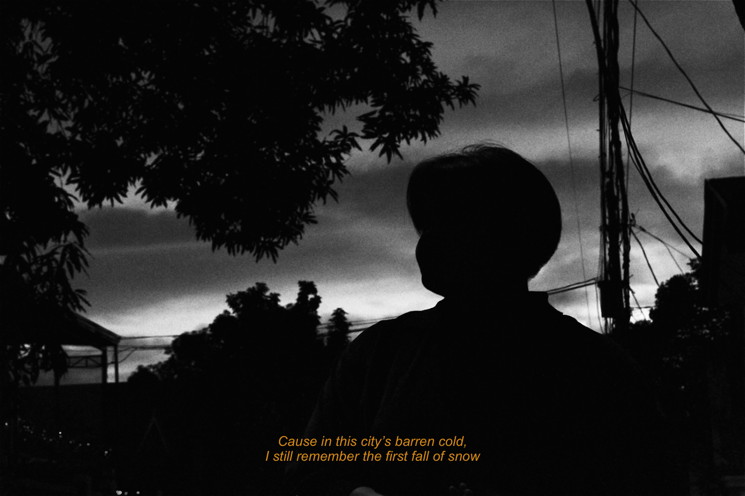 03 (2023) | Shot with Canon 3000D Post-processed in Adobe Lightroom