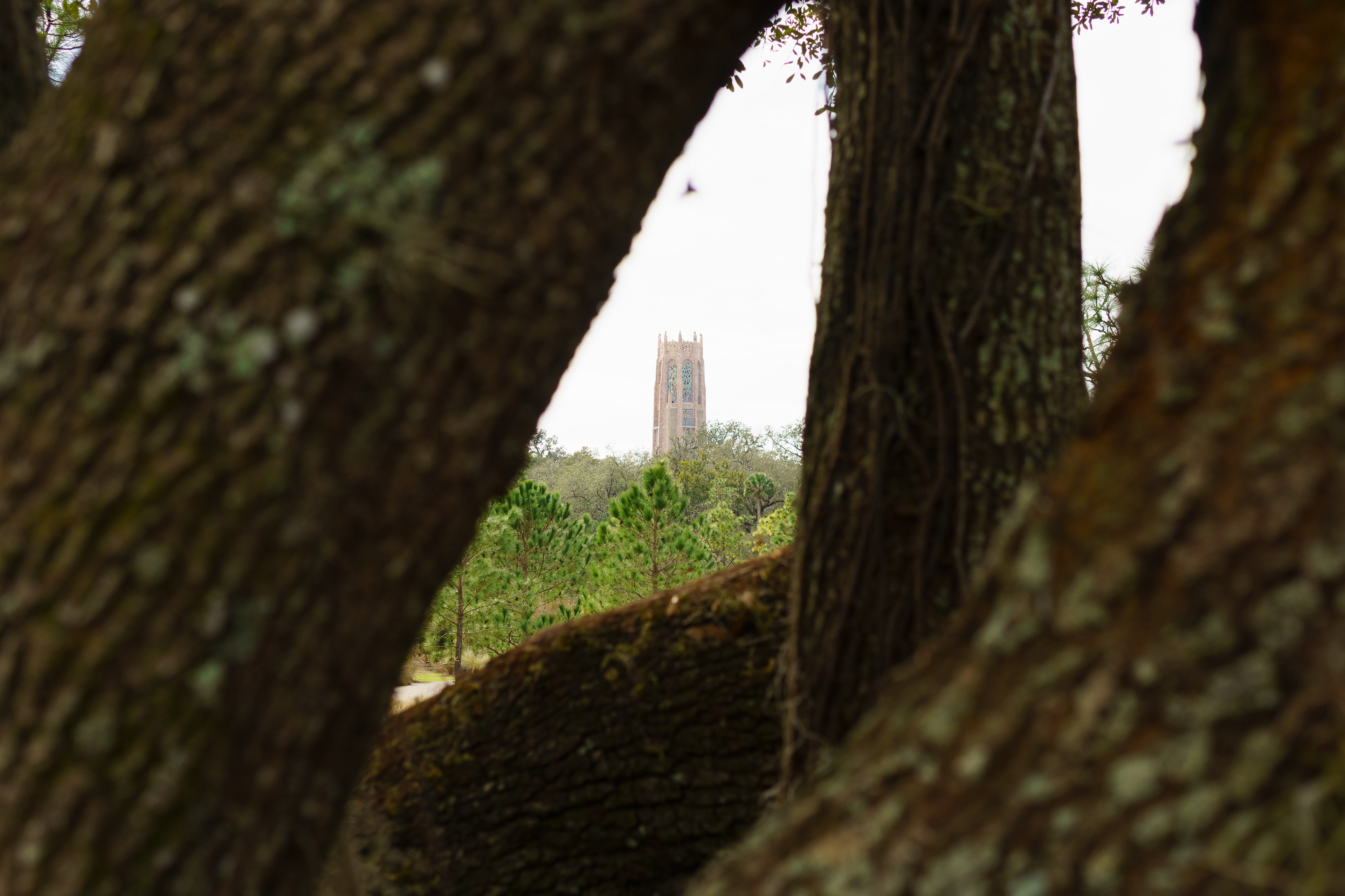 Landscape context and interest to distant subject
