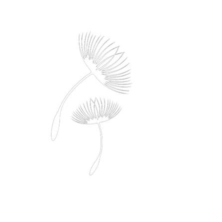 javier moreno macías