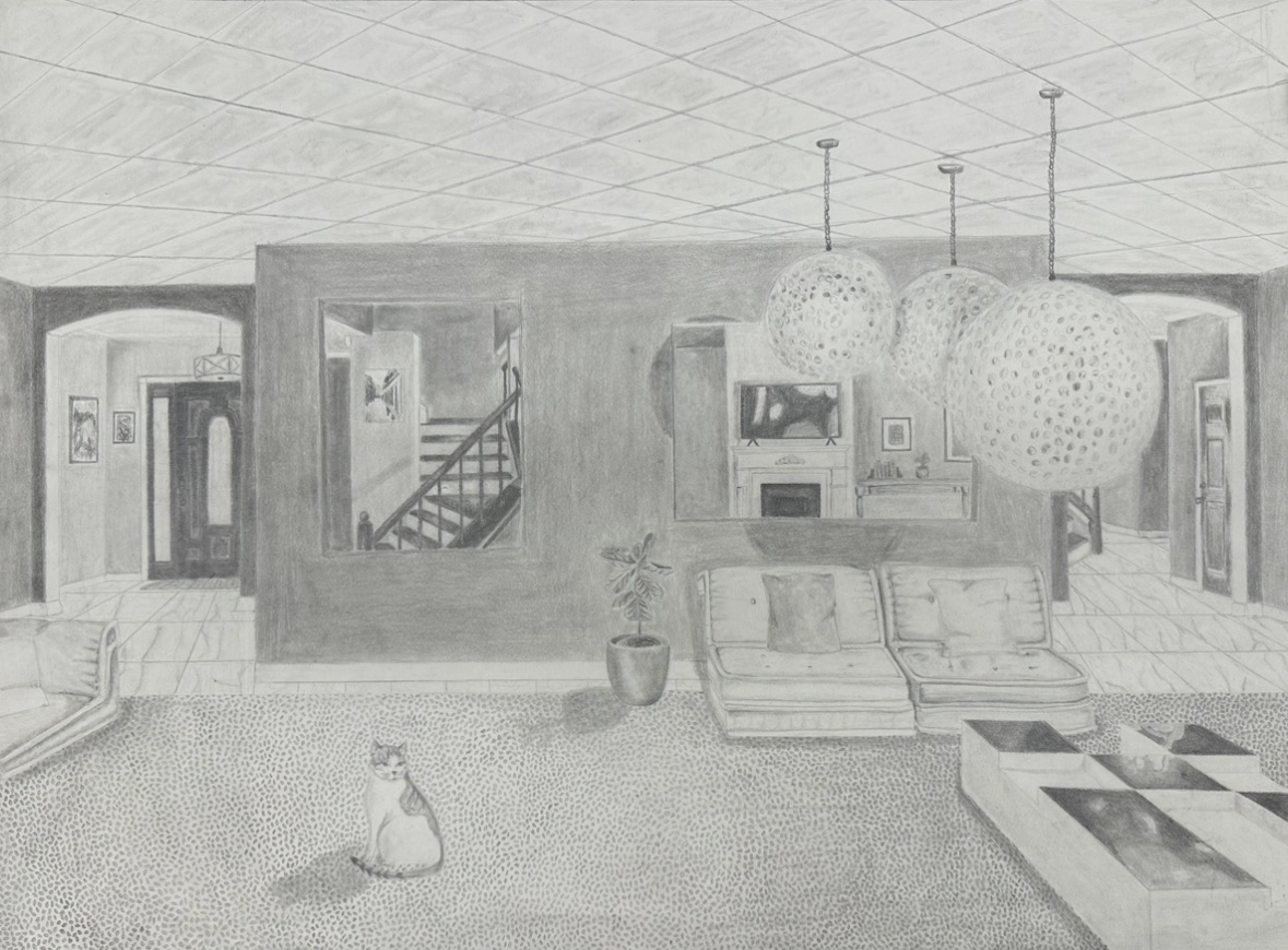DRAW 100 Assignment 2022, Graphite