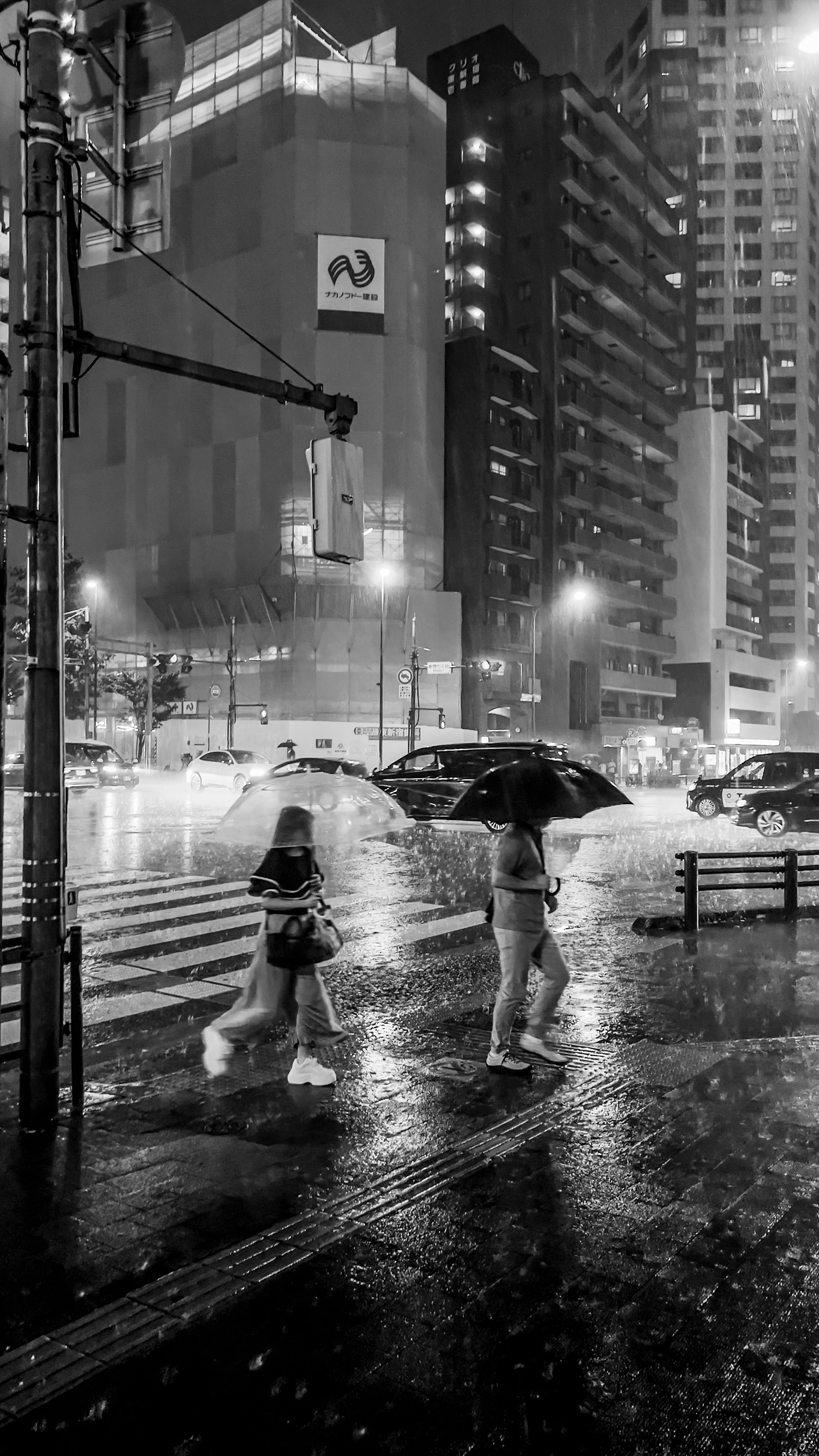 Copyright Michel Soares