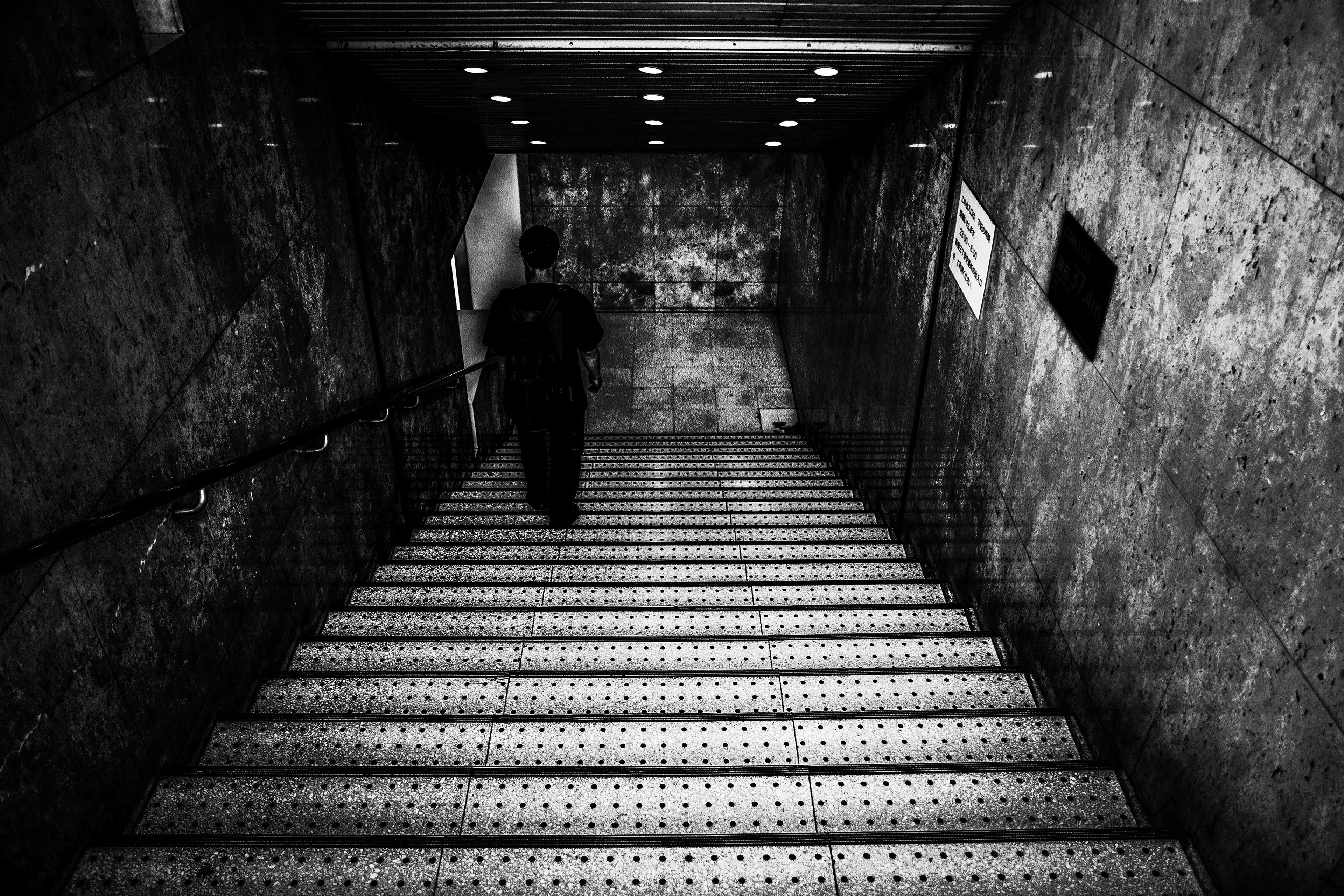 Copyright Michel Soares