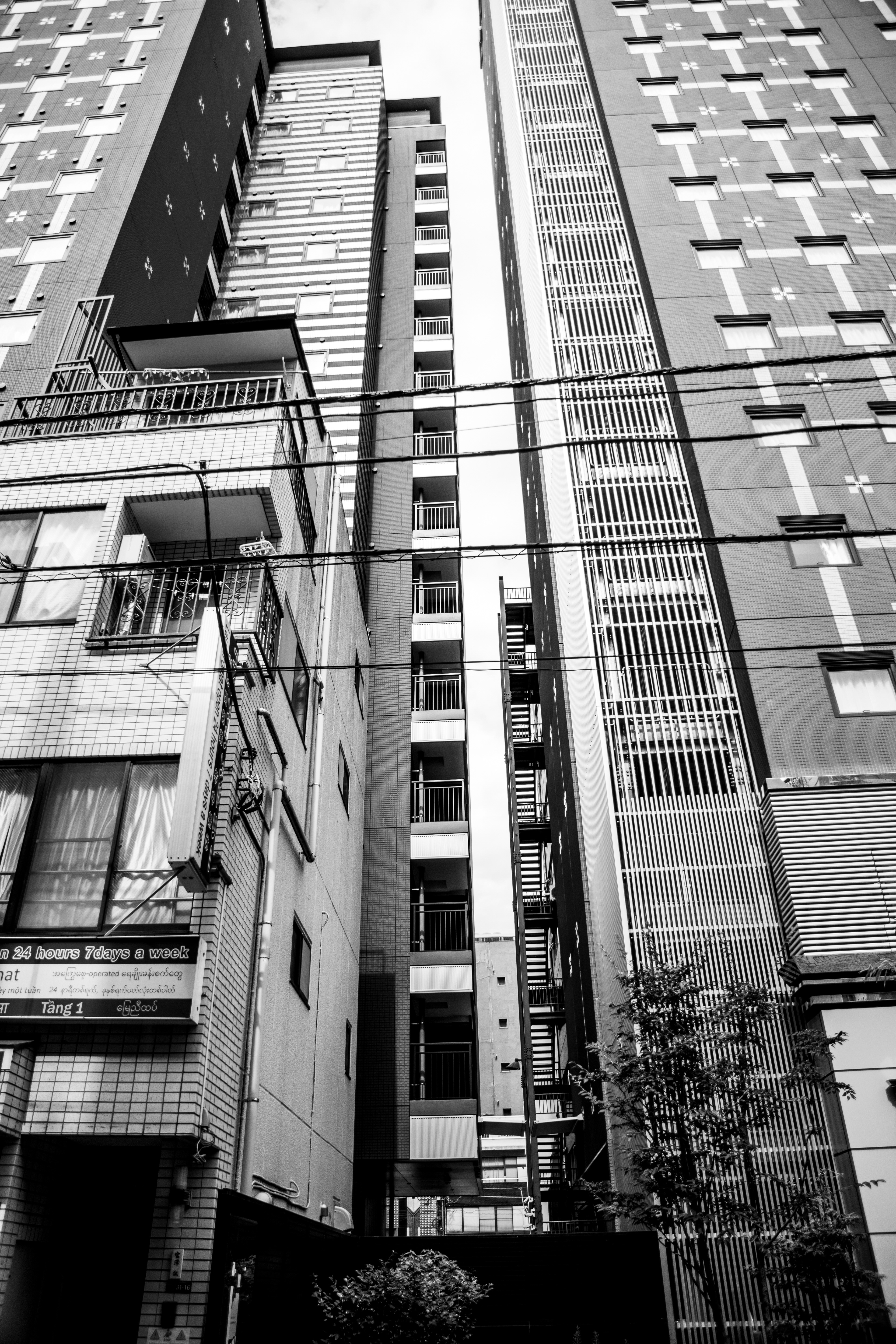 Copyright Michel Soares