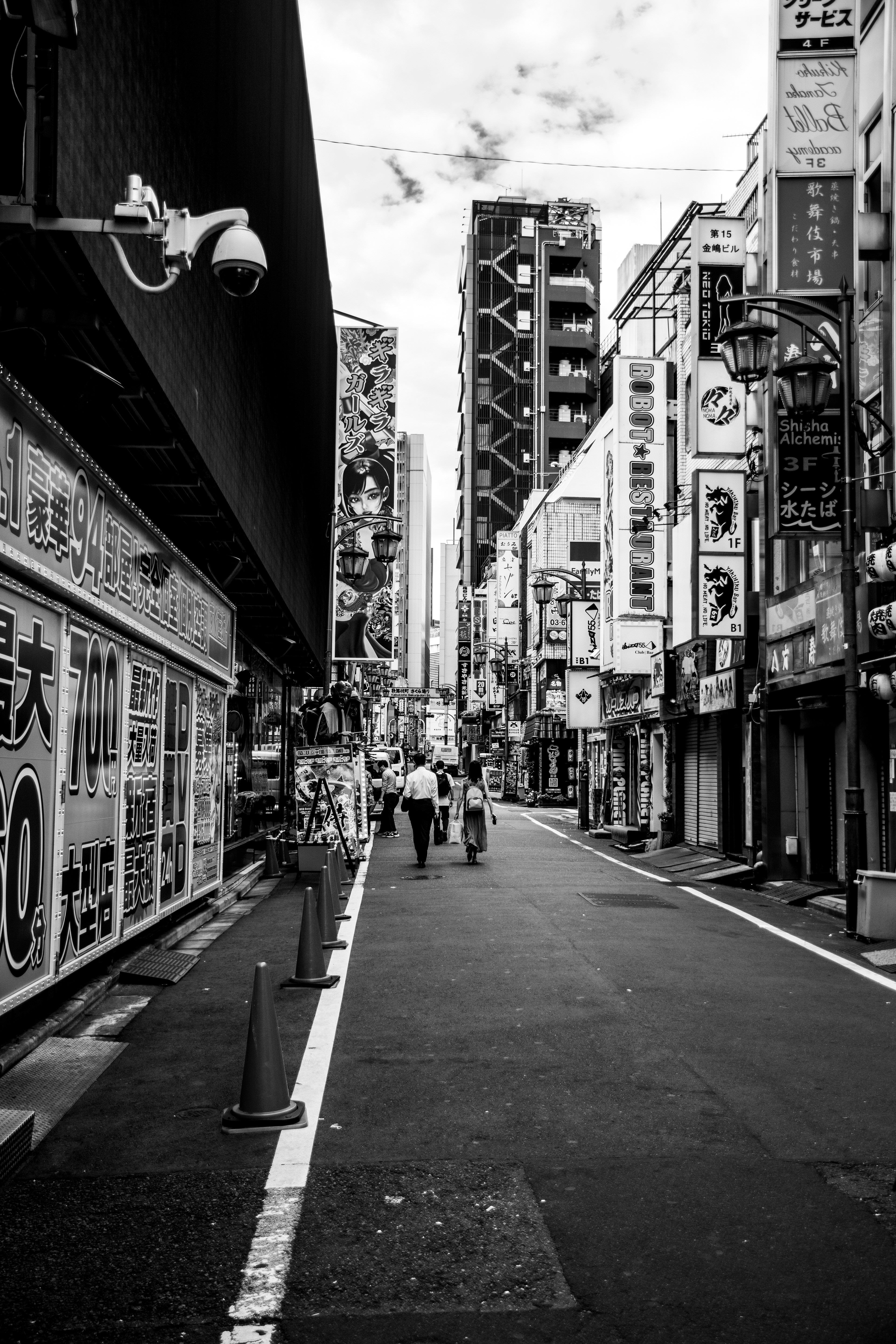 Copyright Michel Soares