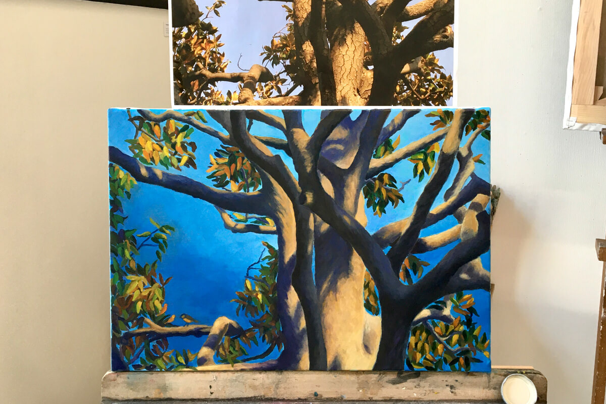 Laurence : étude d'un arbre d'après une photographie.