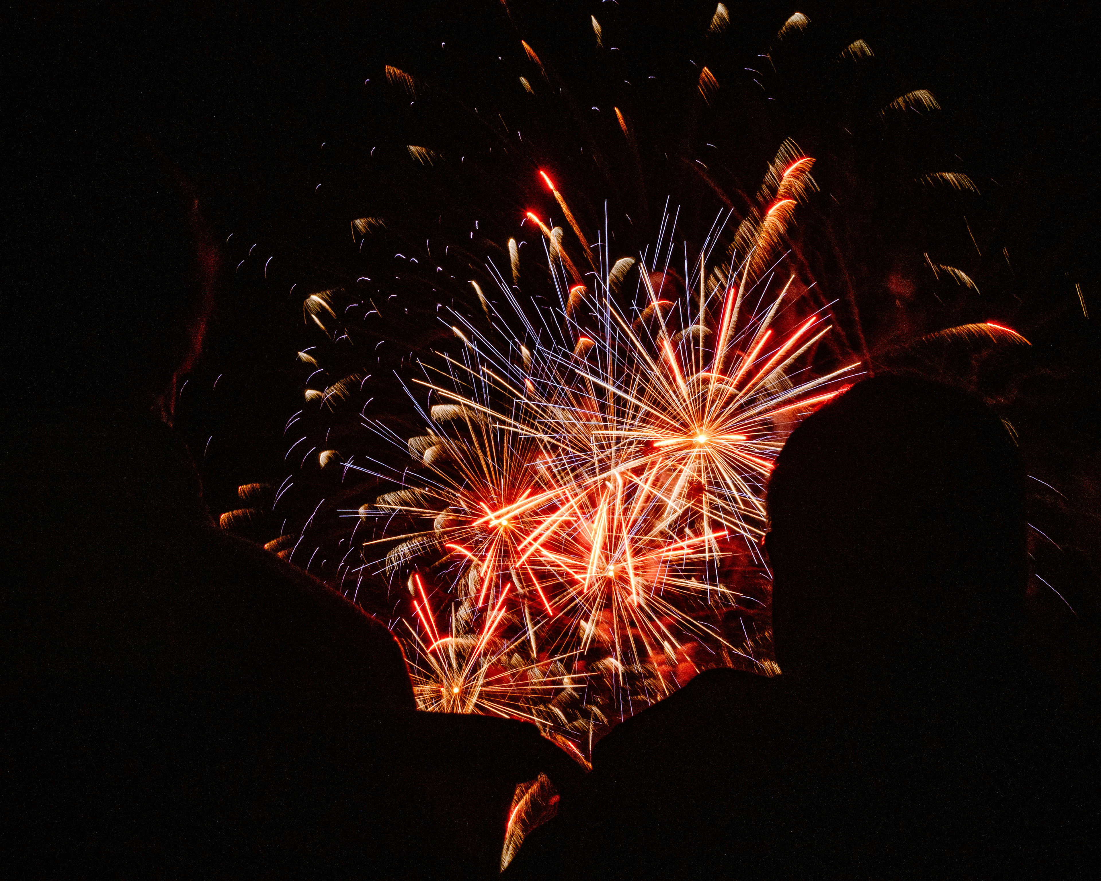 été 2024 ©JuniorPhotos 2024