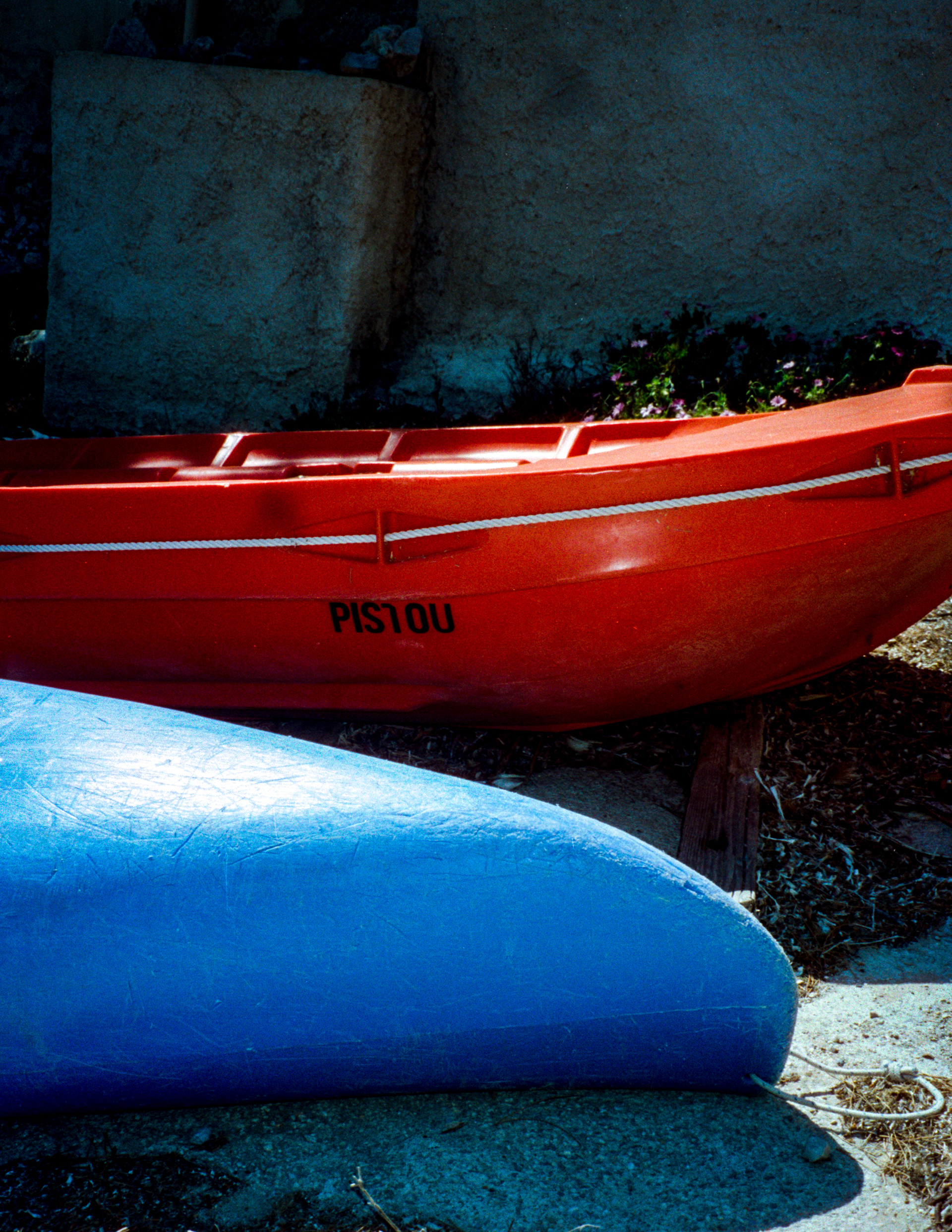 "Pistou" Cinestill 400D - ©JuniorPhotos 2023