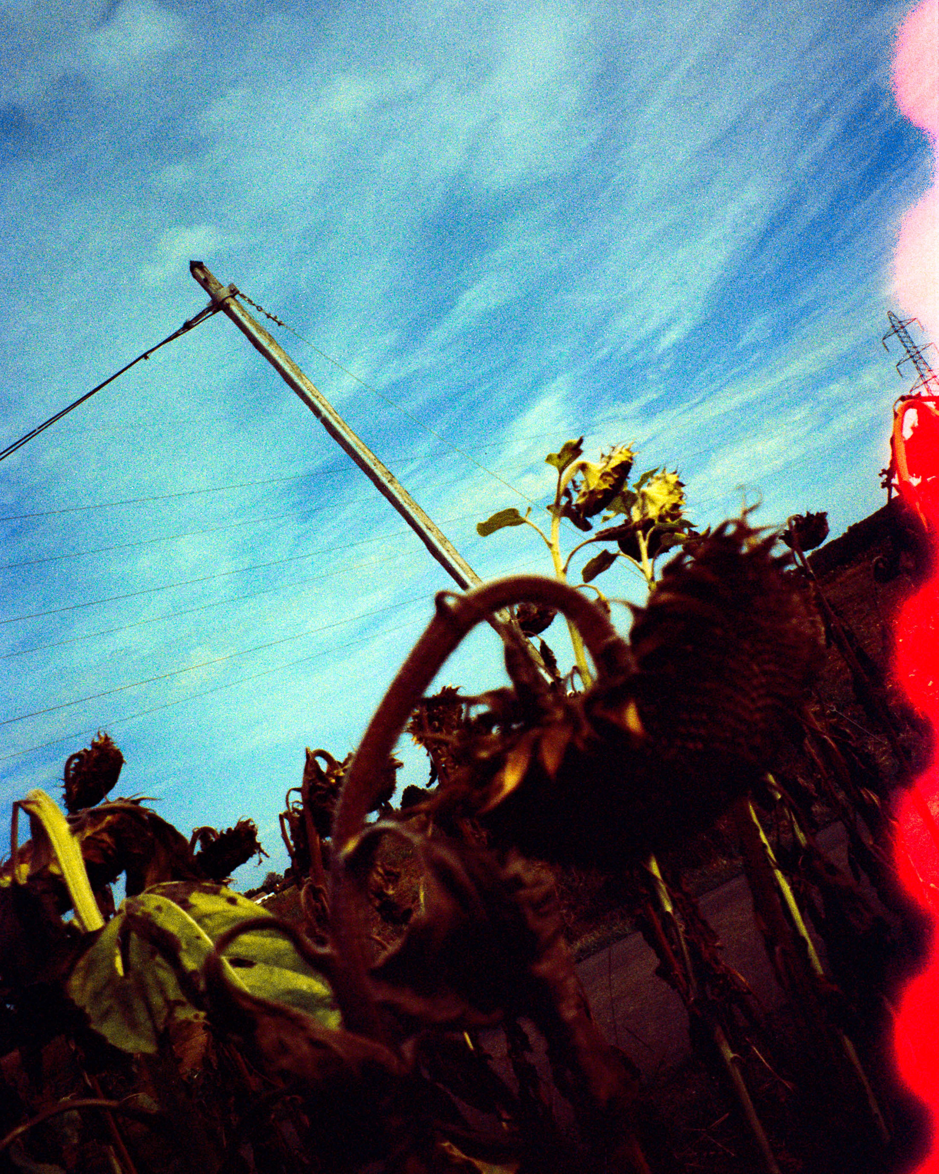 "Grands Champs" - La Rochelle - Vision 1 ©JuniorPhotos 2023