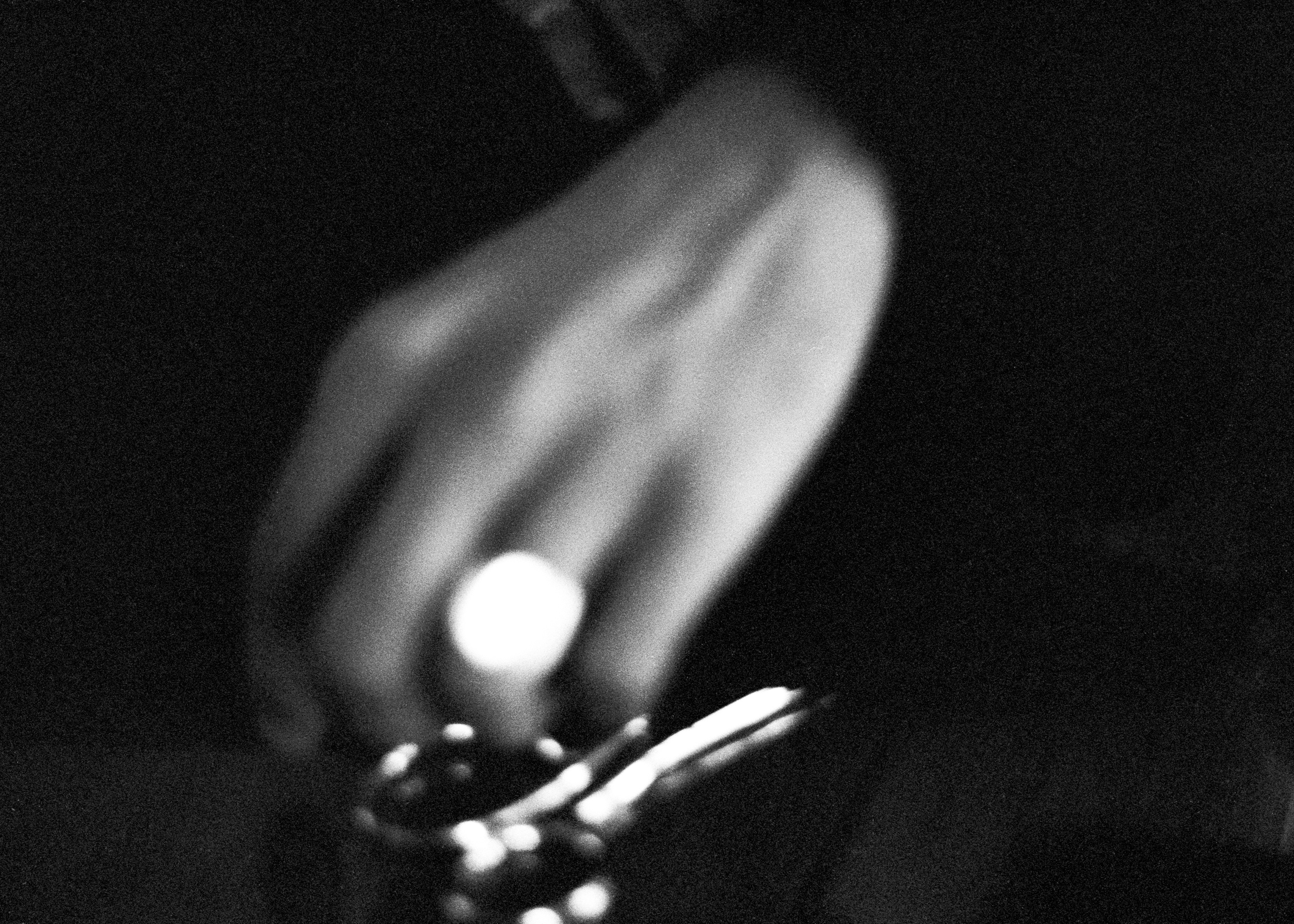 "Petite découpe" ©JuniorPhotos 2022