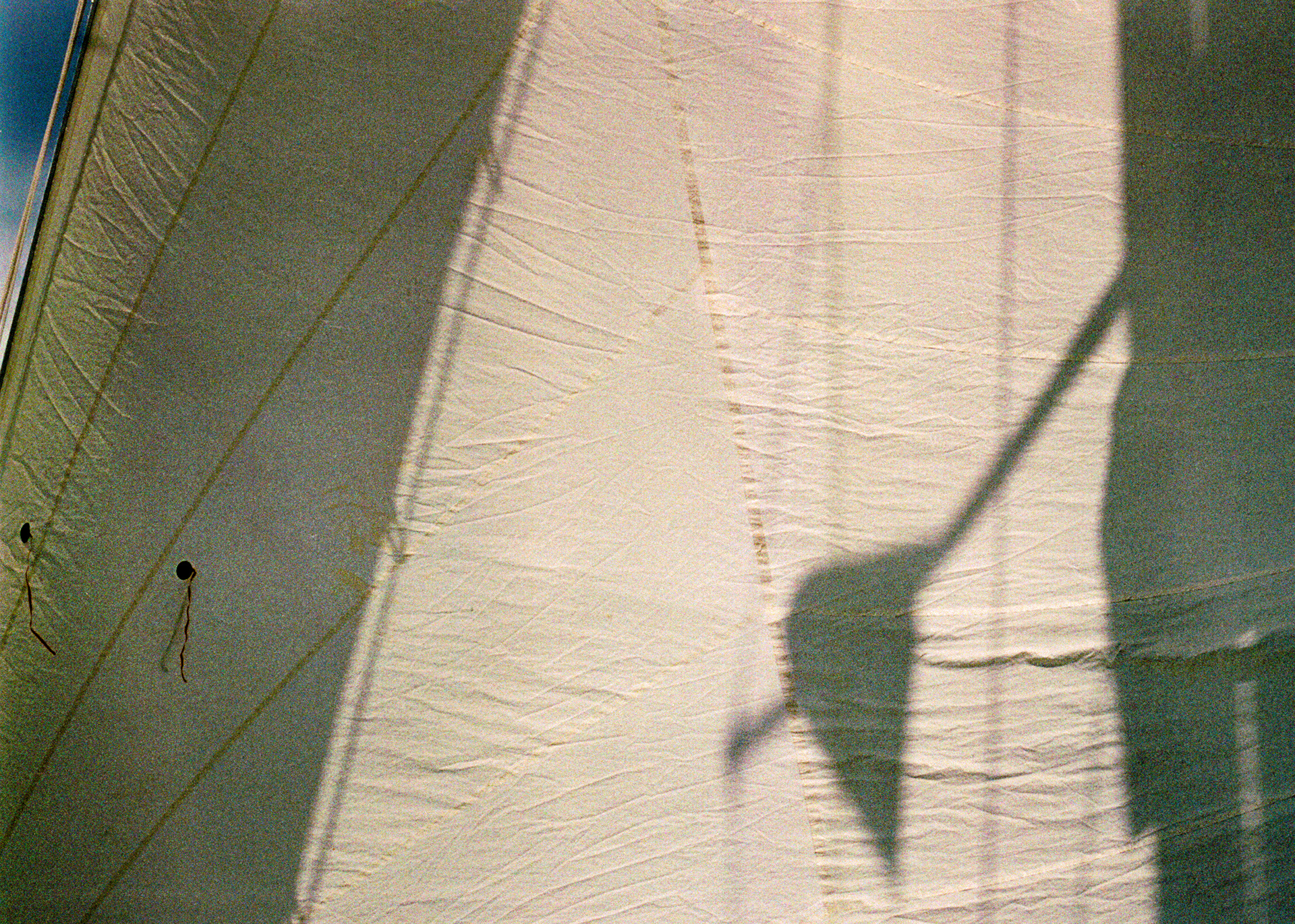 "Voile" - Kodak Vision 3 250D - ©JuniorPhotos 2023