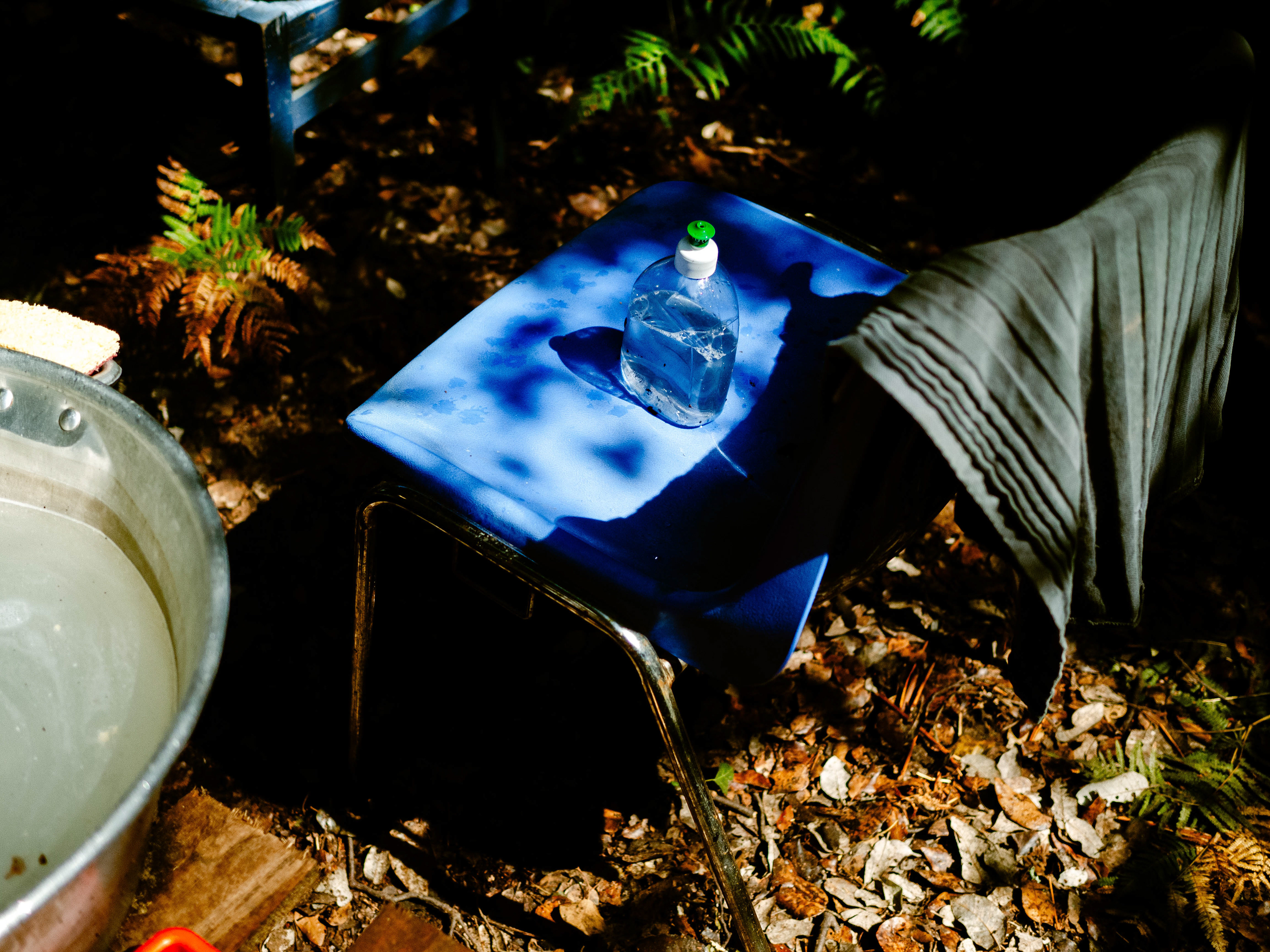 Carabane 2024 ©JuniorPhotos 2024