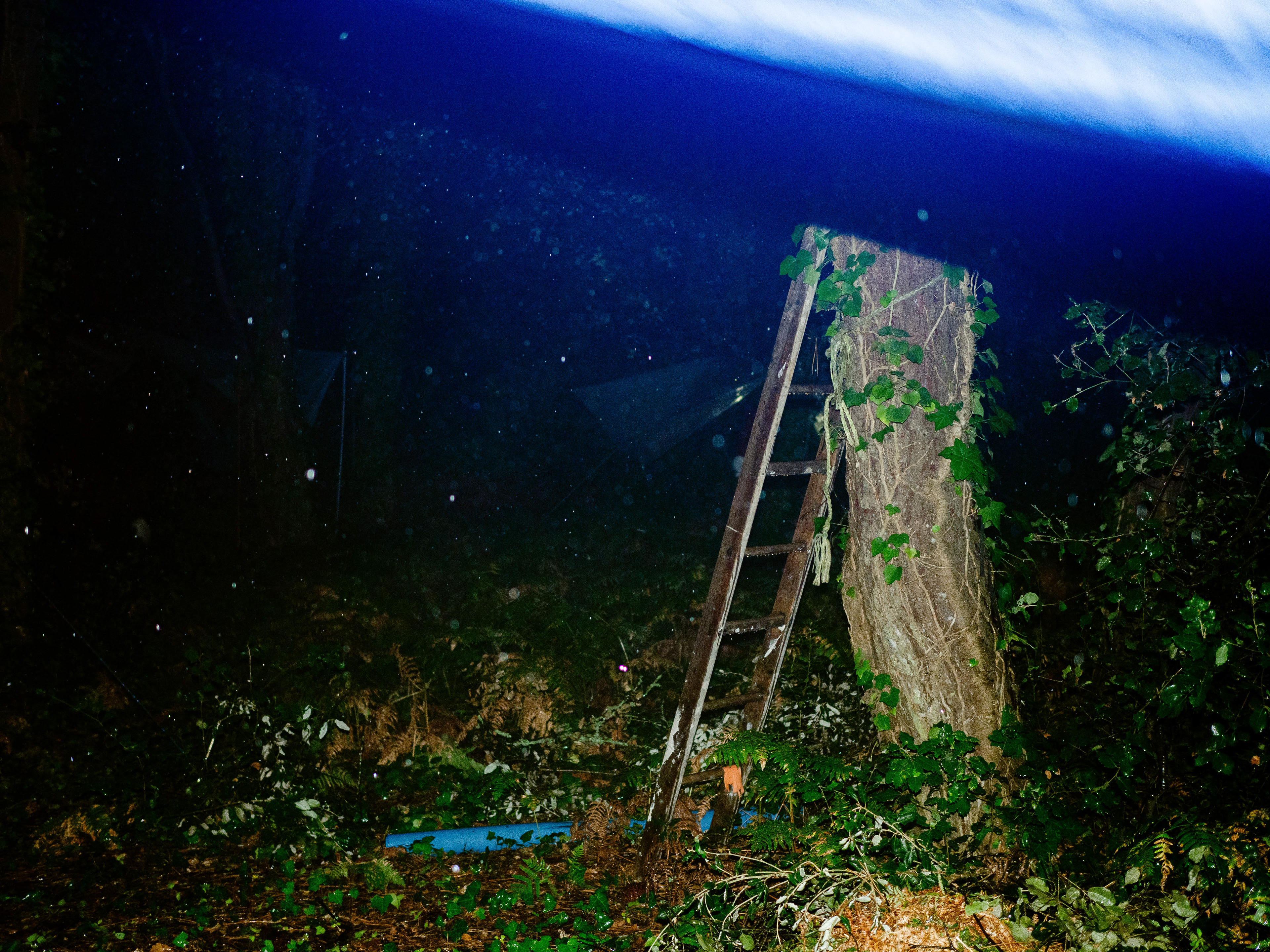 Carabane 2024 ©JuniorPhotos 2024