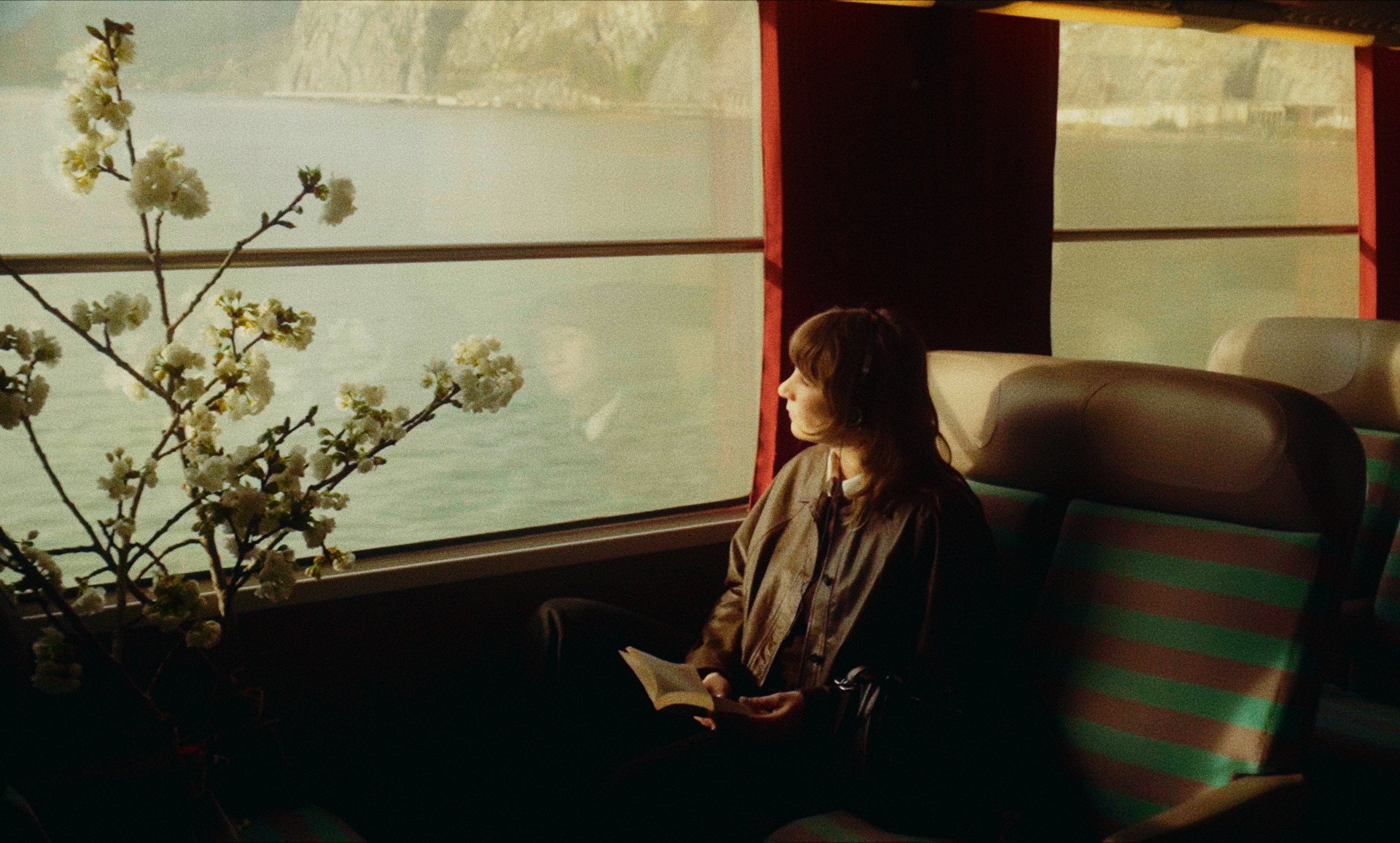 Chloé Antoniotti - Sakura