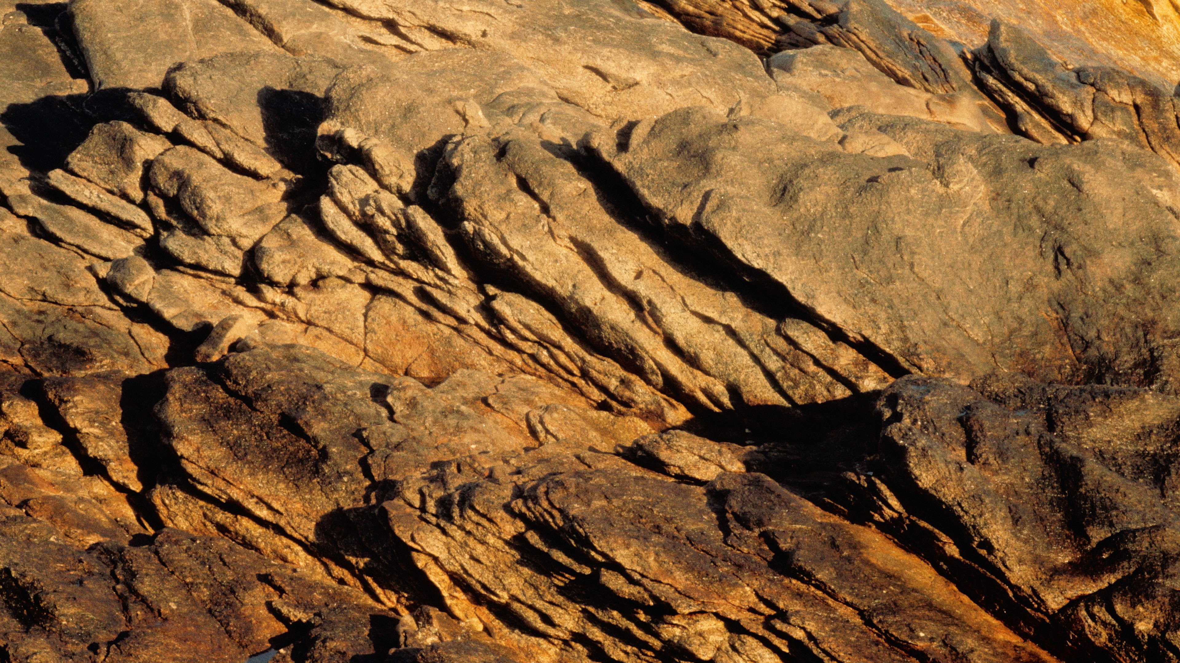 Elise Bourn - The Well