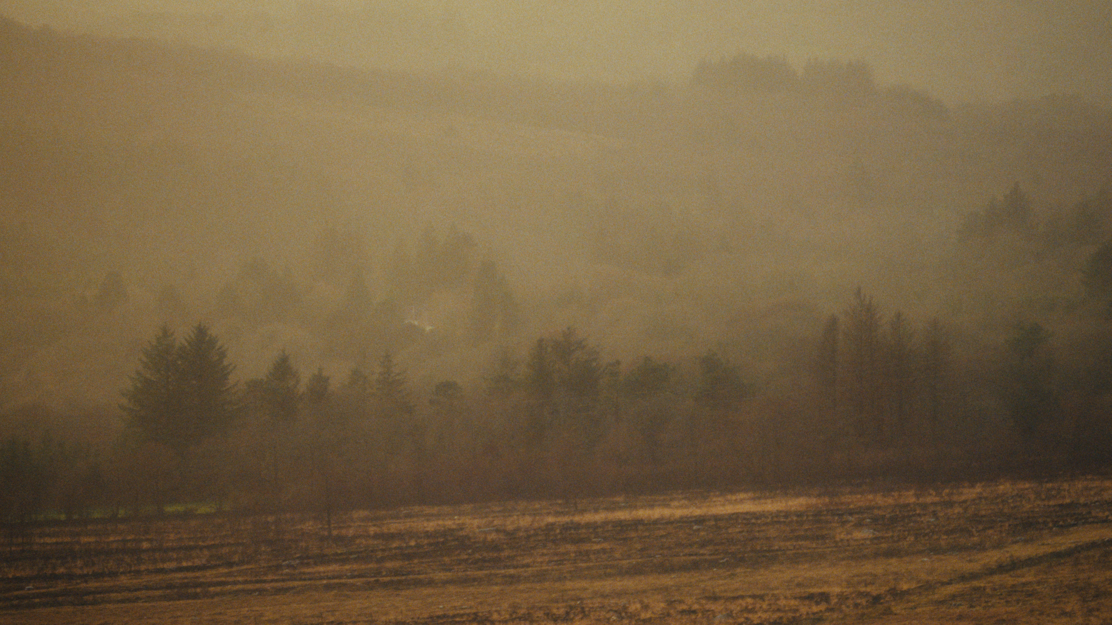 Coline Rio - Elle laisse