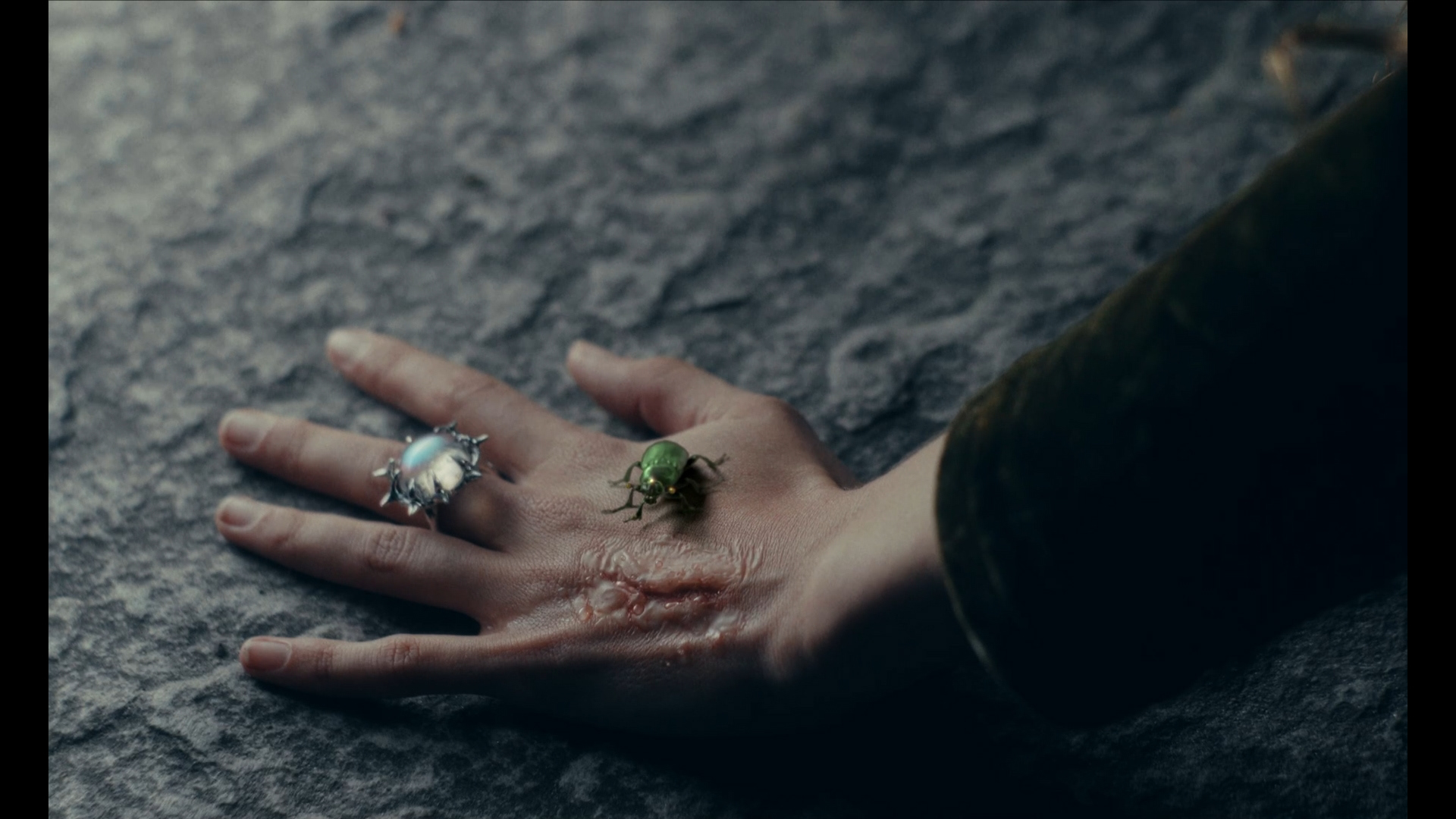 Roukie - Sans conditions