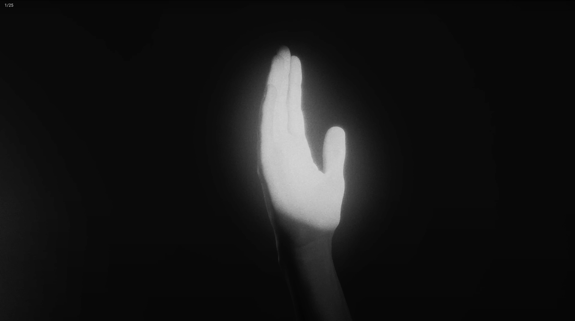 Coline Rio - La mort des amants