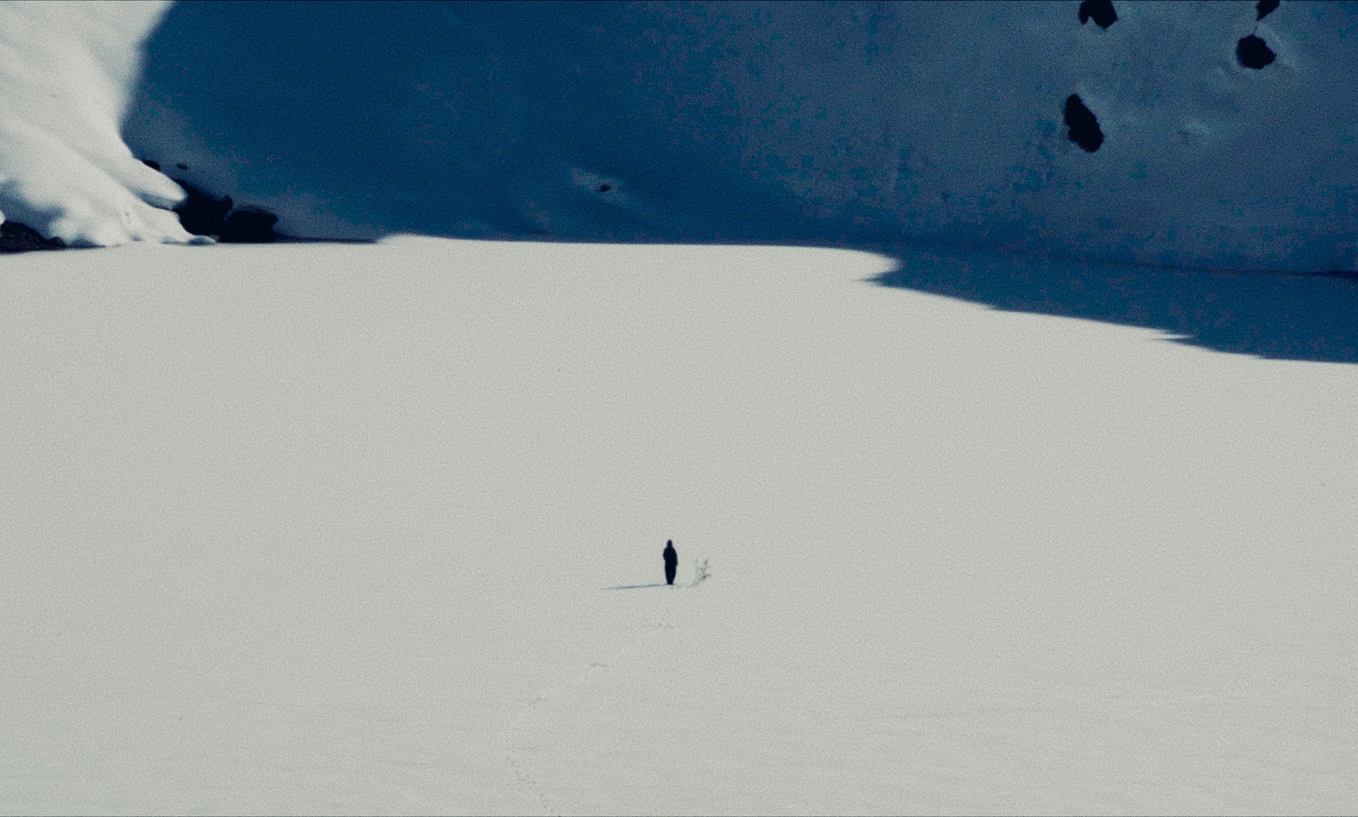 Chloé Antoniotti - Sakura / dir. Zoé Cavaro (clip)