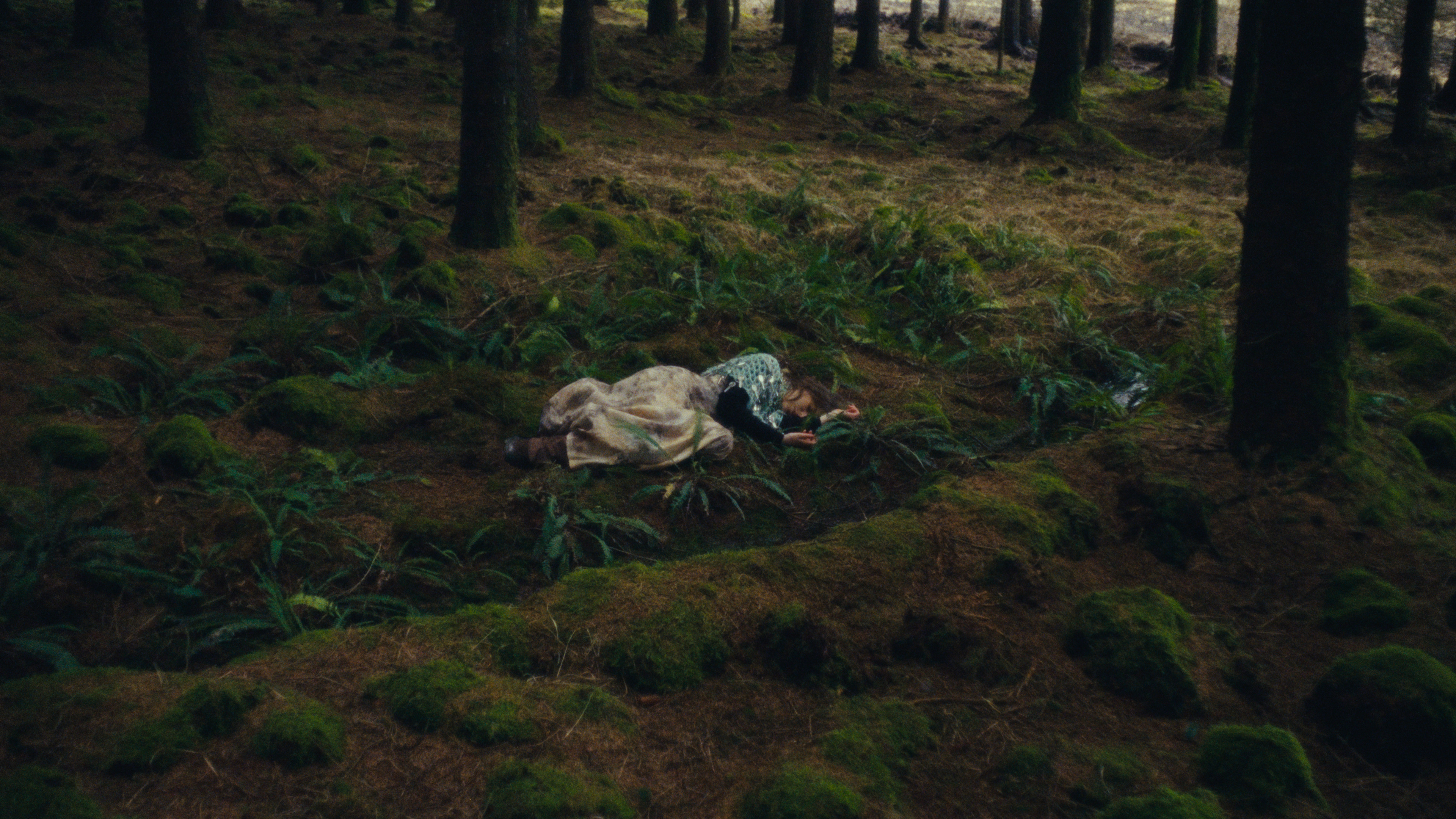 Coline Rio - Elle laisse