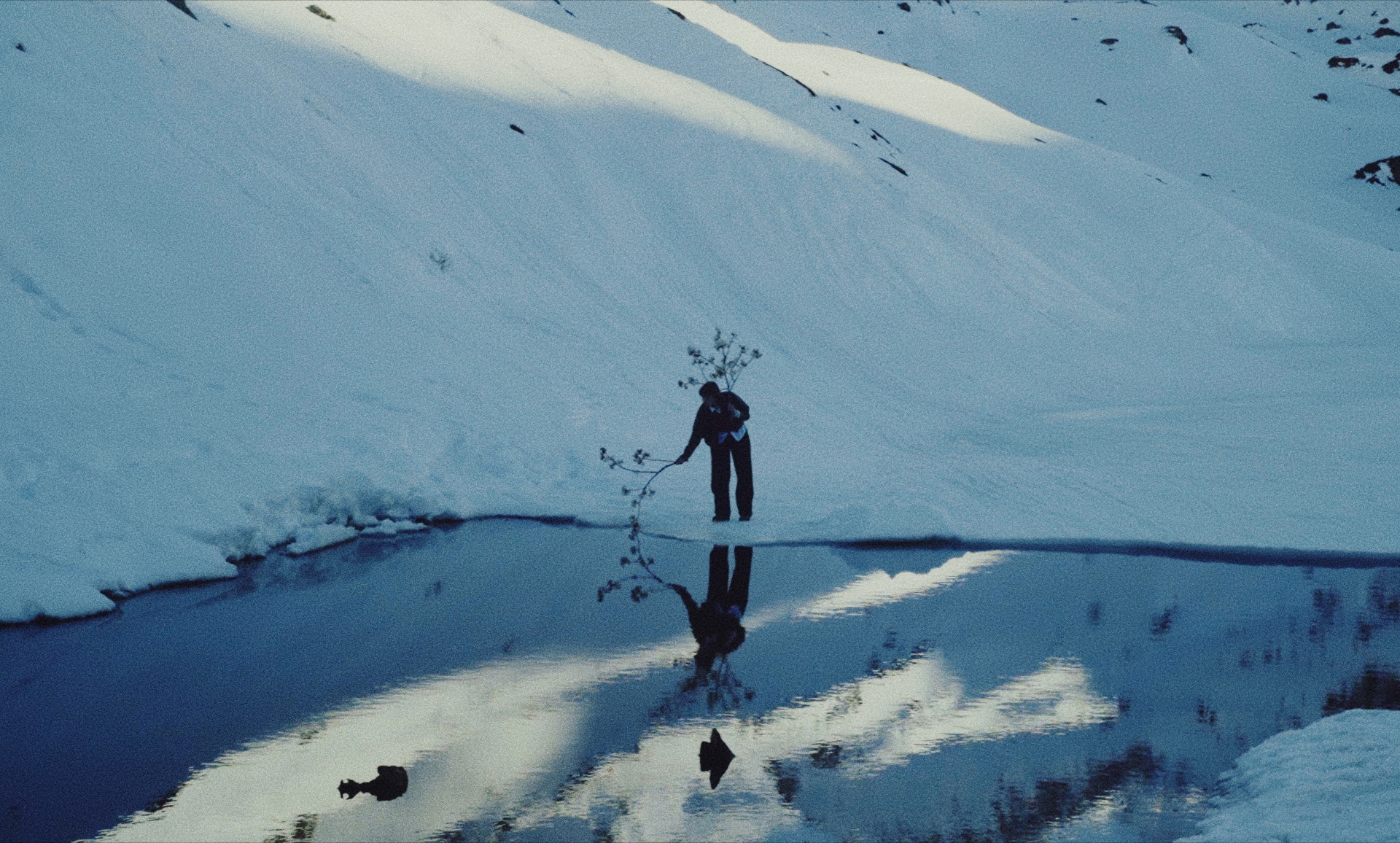 Chloé Antoniotti - Sakura (music video)