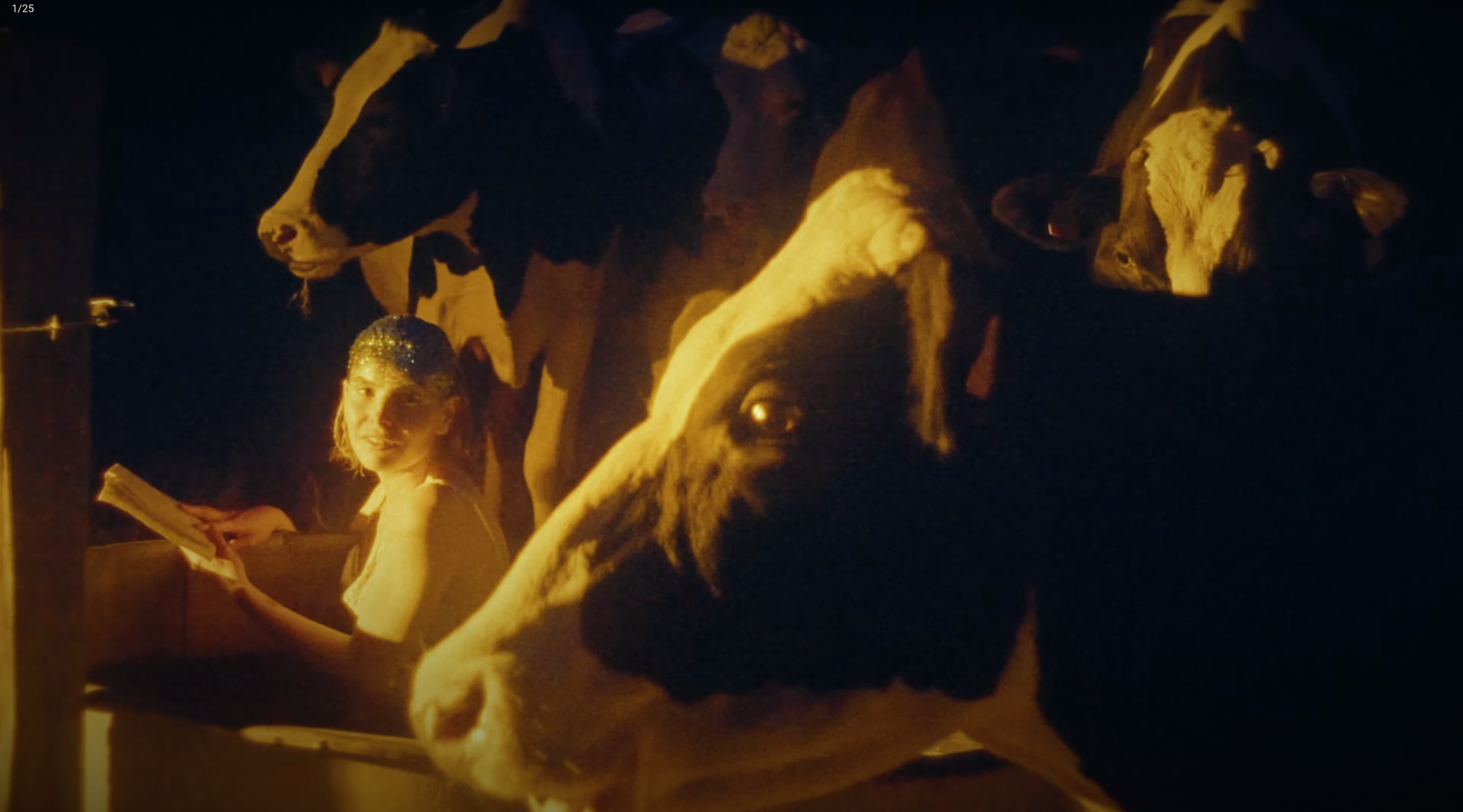 Hush!Noise - What an average end / dir. Pauline Herlent (clip)
