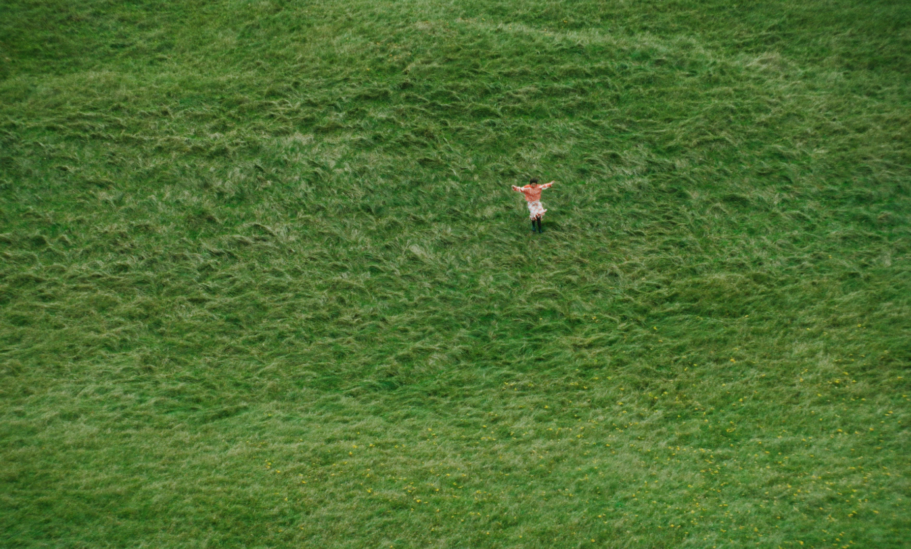 Polite - Analysis Paralysis