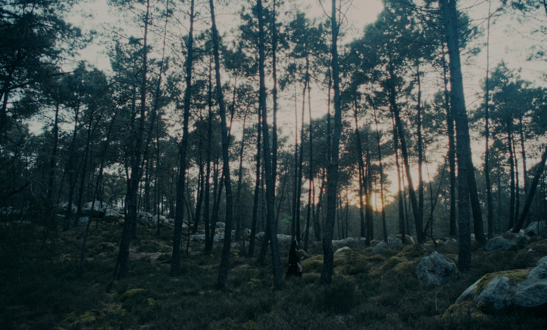 Roukie - Sans conditions