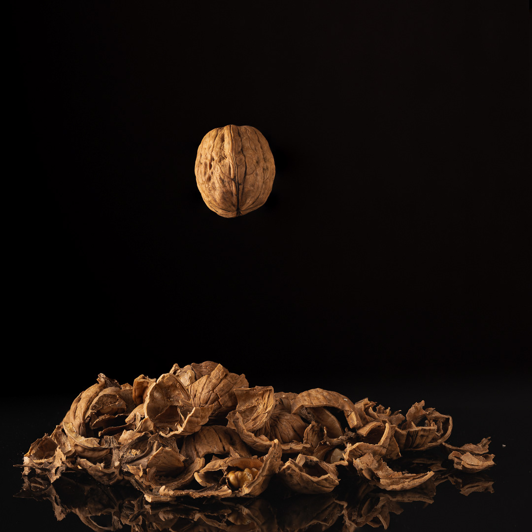 Flying Shelled Walnut