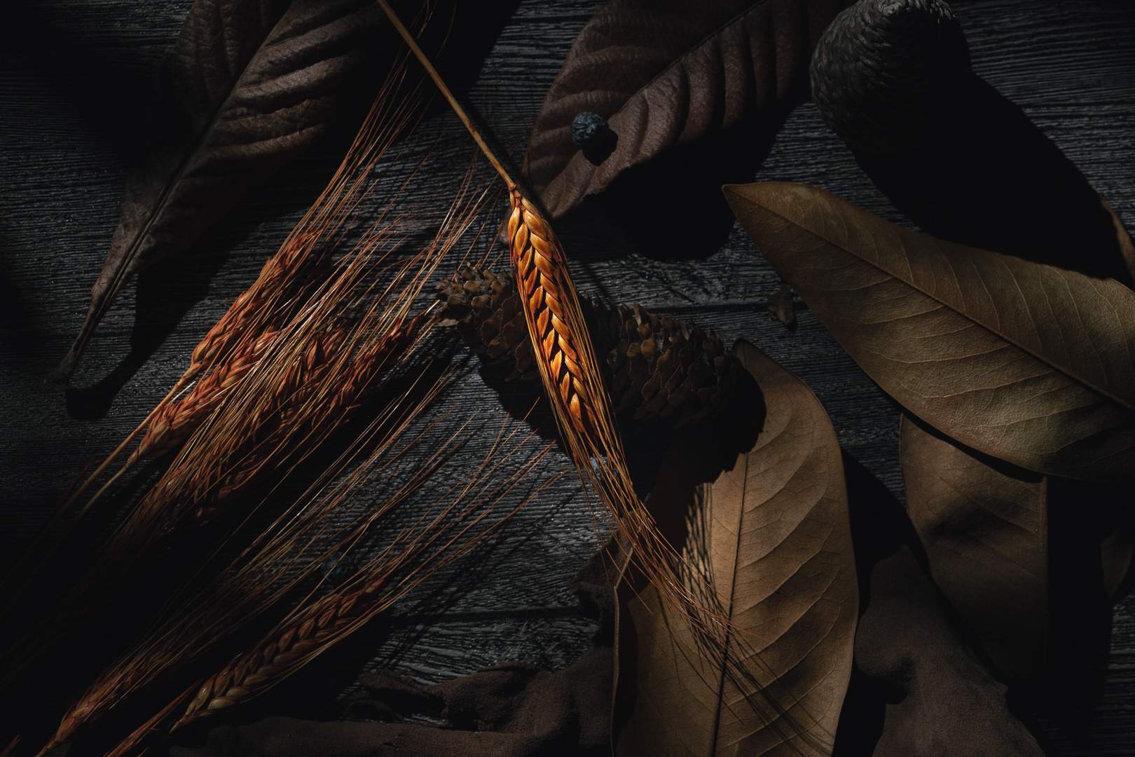 Autum Season - Ears of Golden Wheat