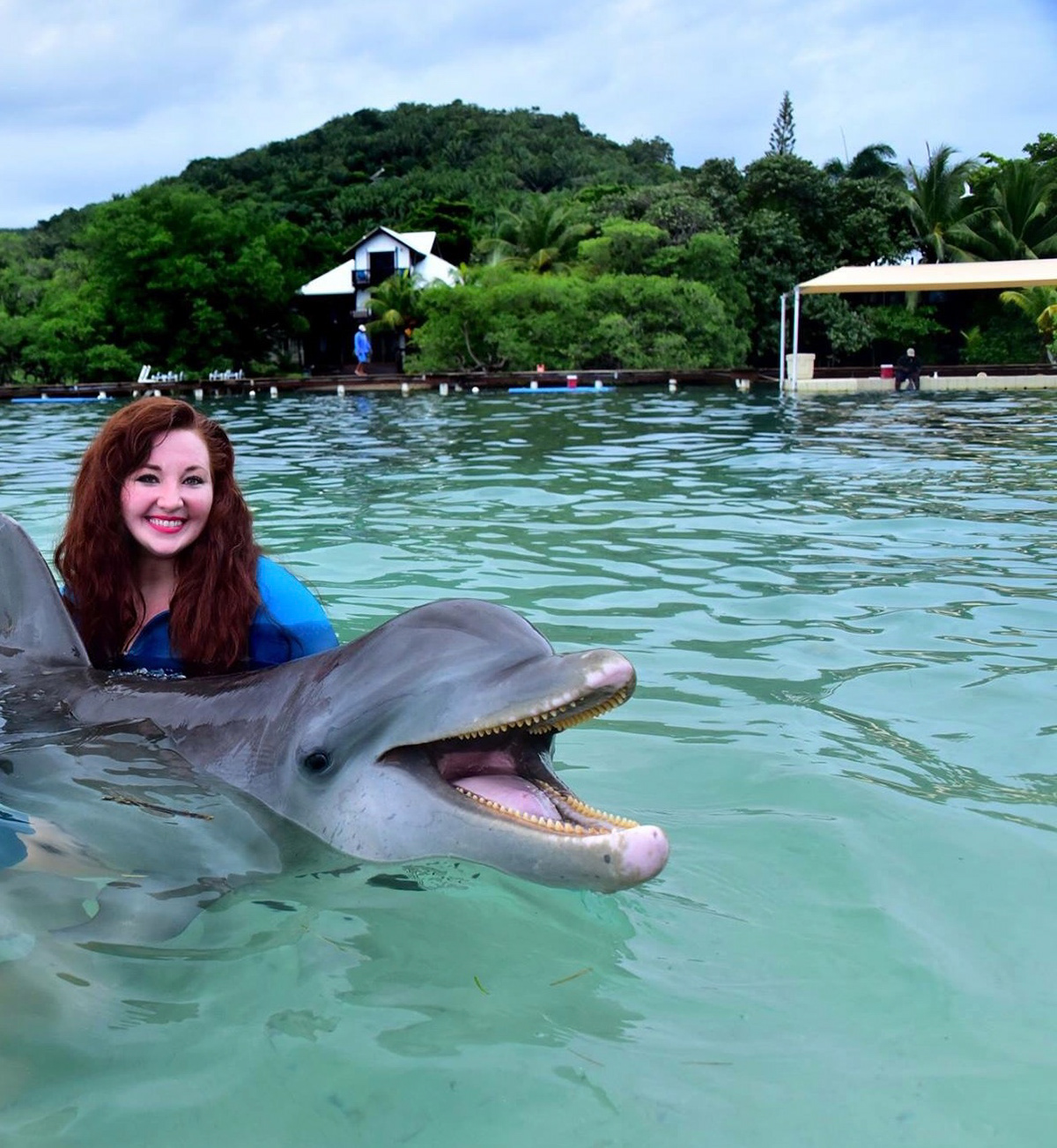 Aletha the Dolphin
